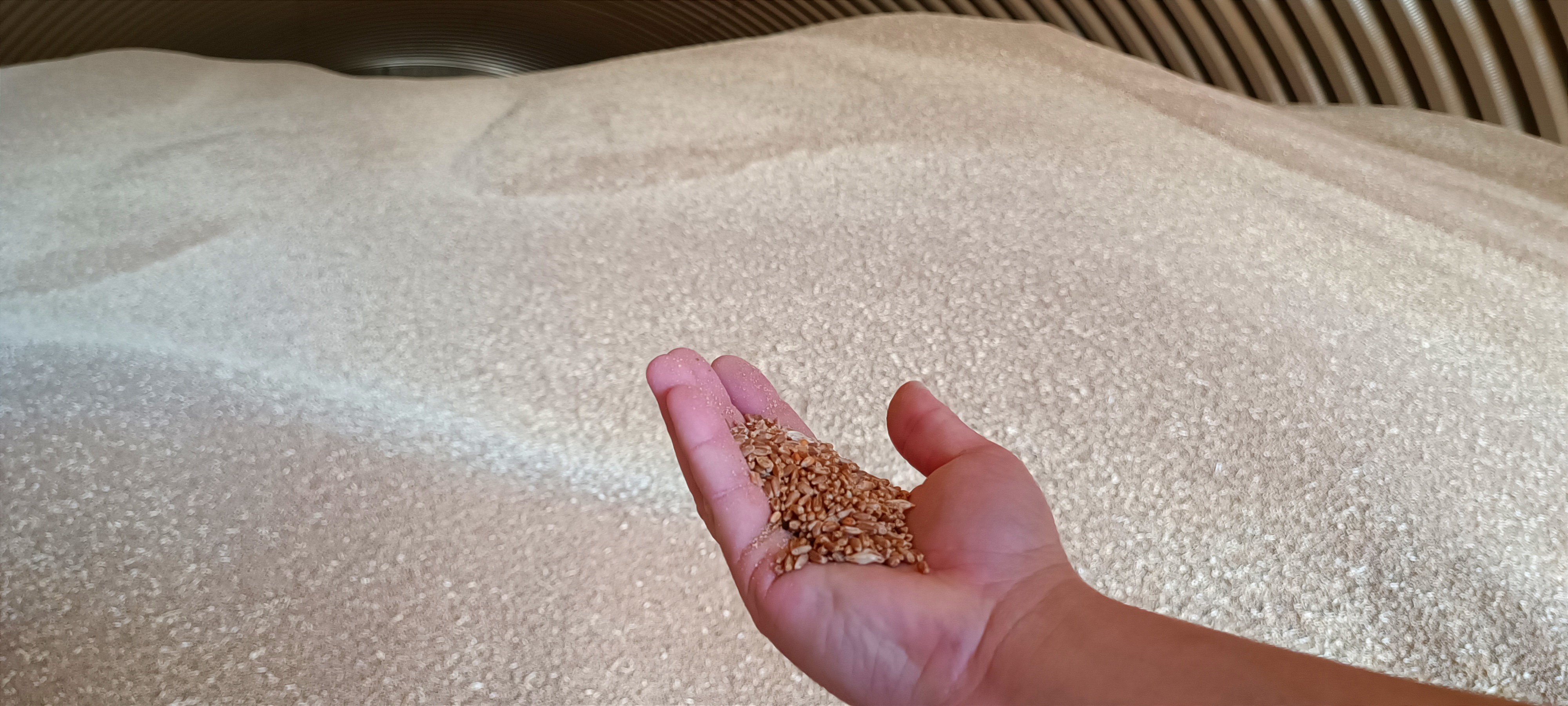 Рекорд хлеборобов: итоги сельхозсезона подвели в Волгоградской области0