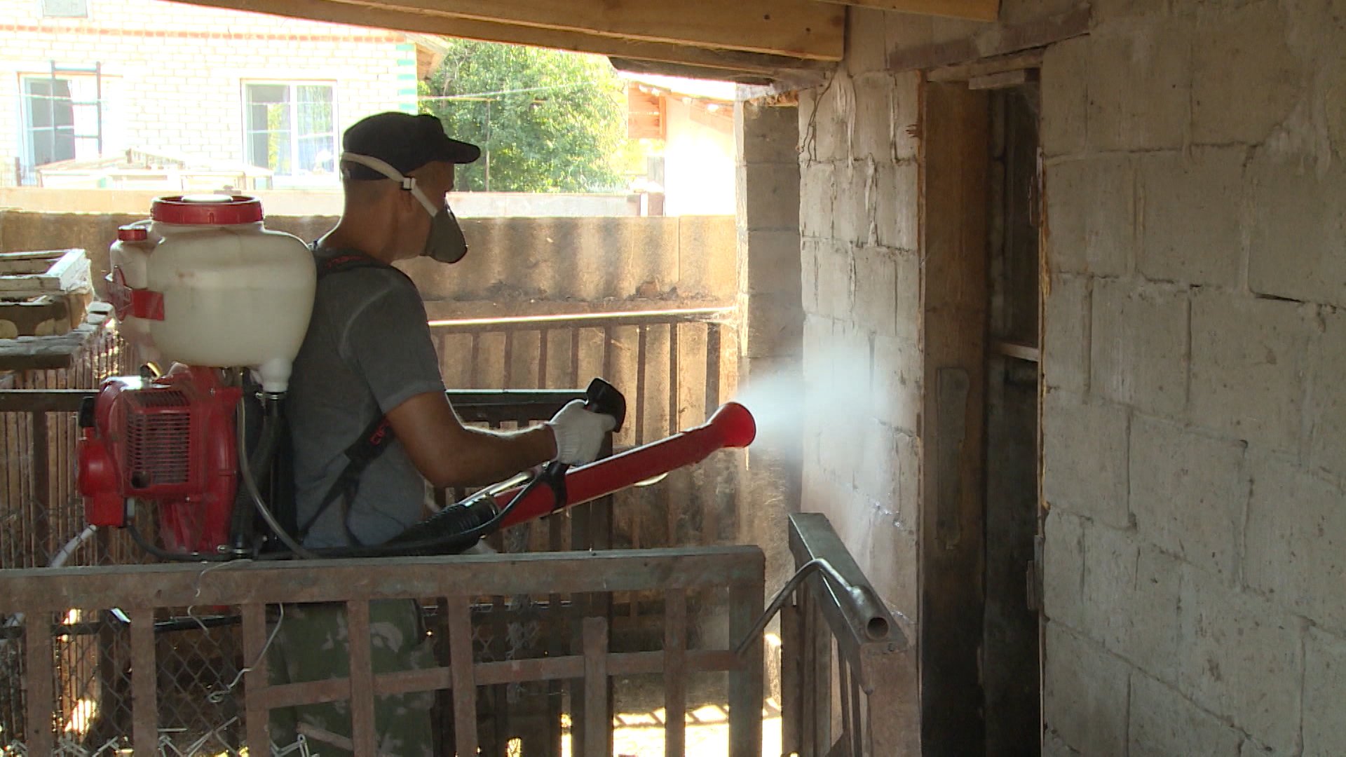 В Волгоградской области обнаружены два очага АЧС