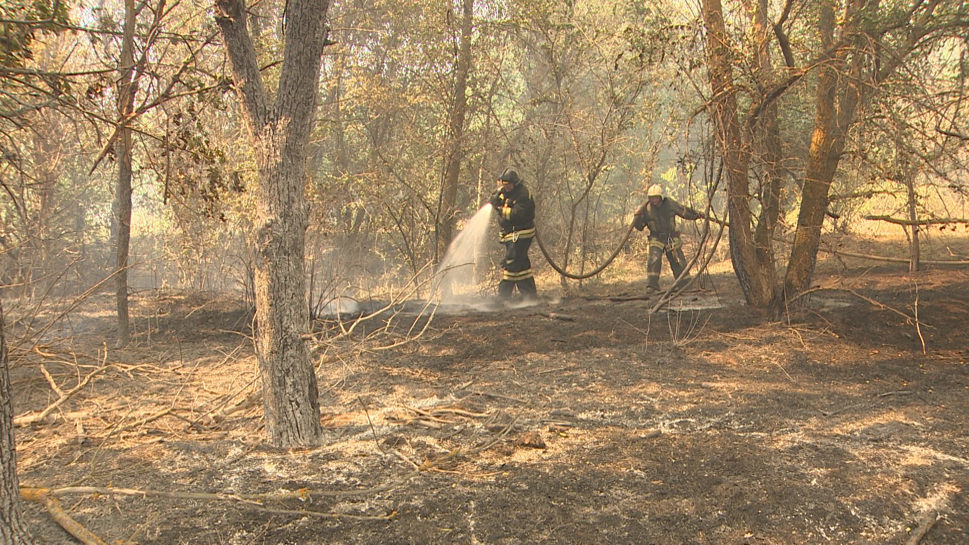 Лесной пожар в Даниловском районе ликвидирован