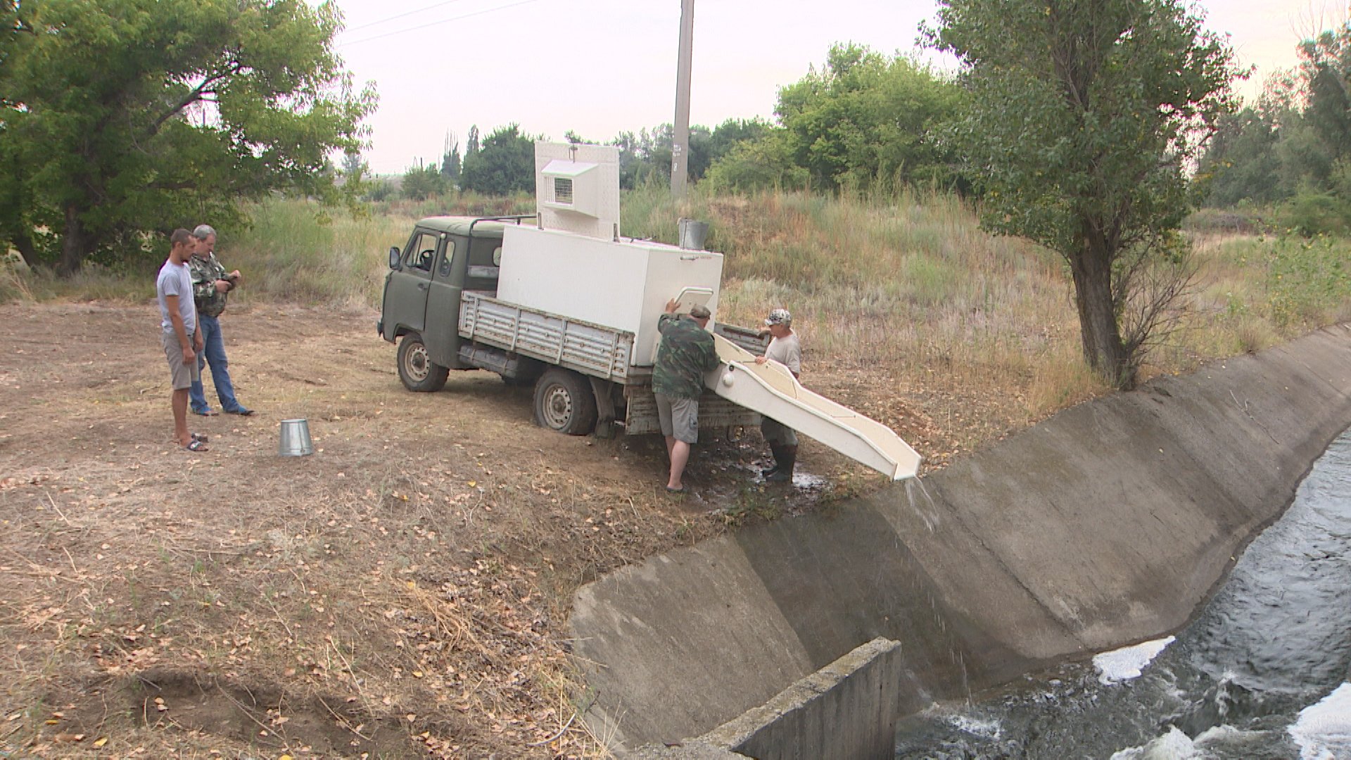 Рыбоводы перевыполнили план по выпуску молоди осетра в Волгу