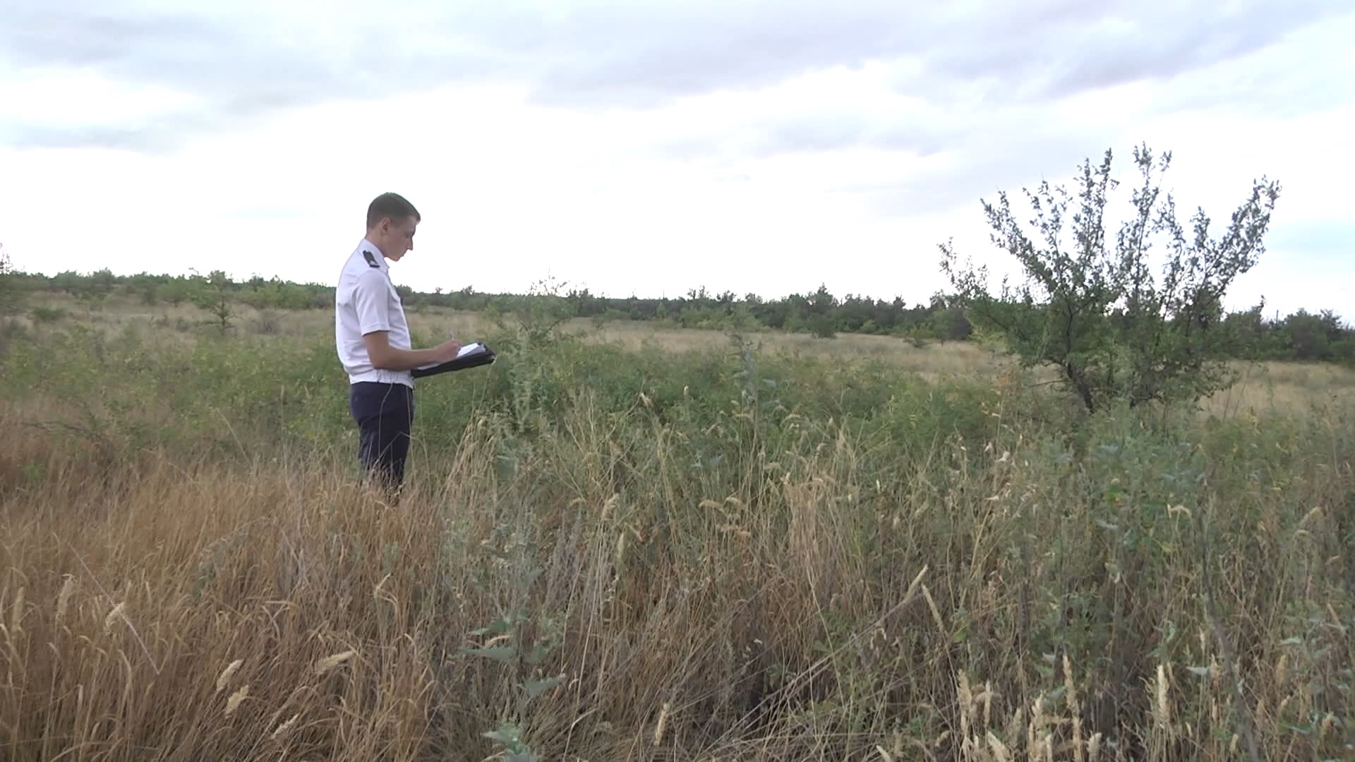 В Волгоградской области выявили нарушителей земельного законодательства