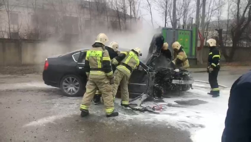 В Волгограде автомобиль врезался в дерево и сгорел