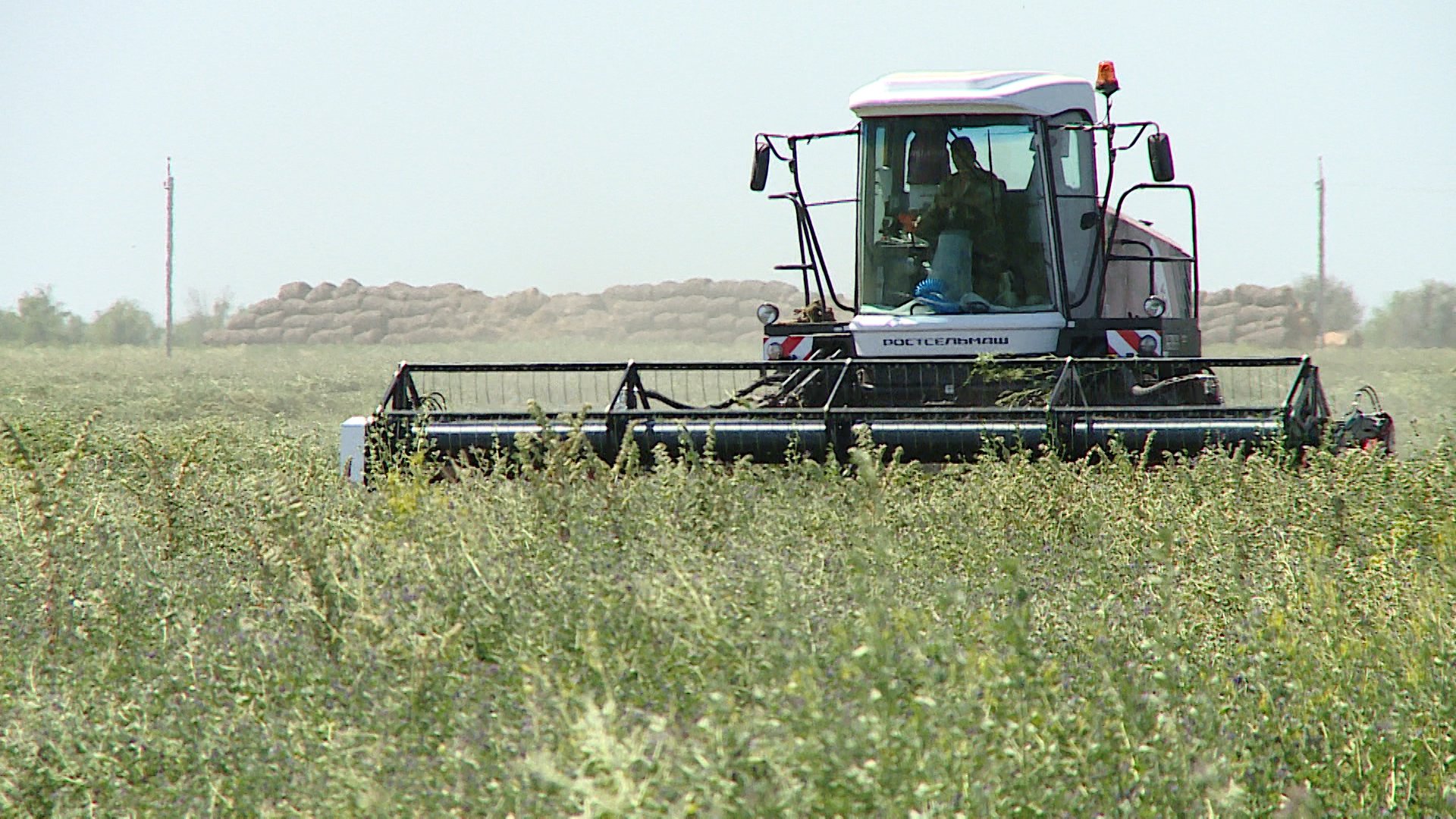 В Волгоградской области молодежь стимулируют работать в сфере сельского хозяйства