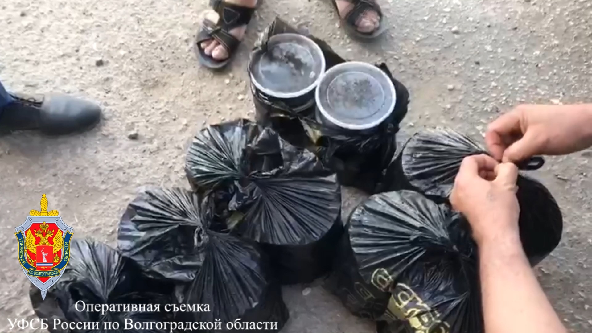 В Волгоградской области вынесен приговор торговцам браконьерской икрой