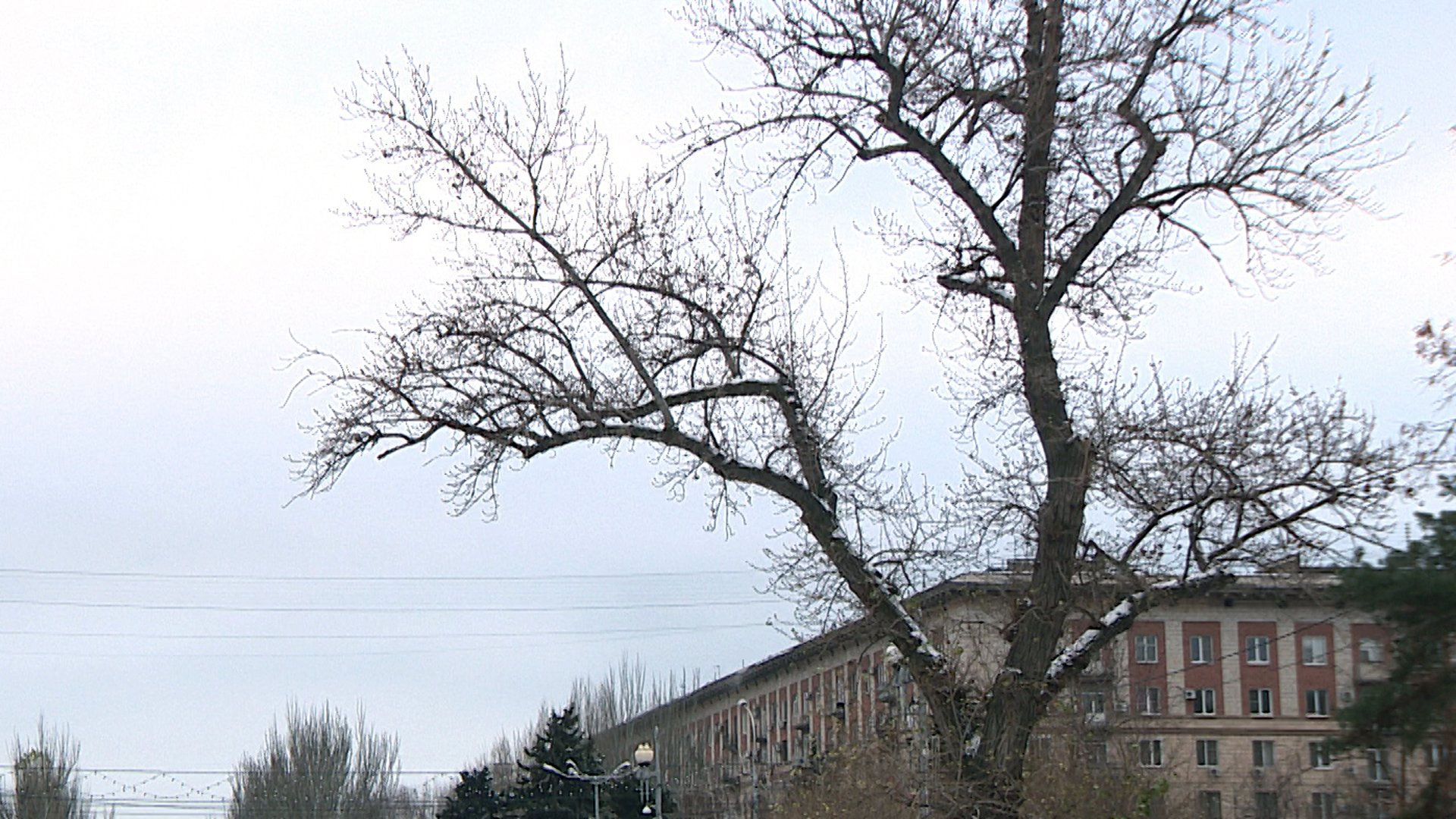 В Волгограде реконструируют улицы вдоль Комсомольского сада