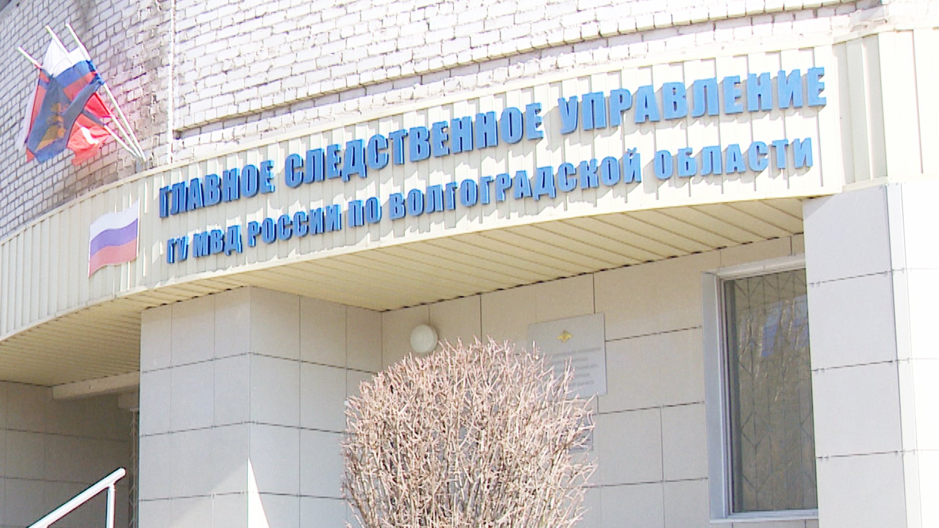 Волгоградские следователи раскрыли дело о международном наркотрафике