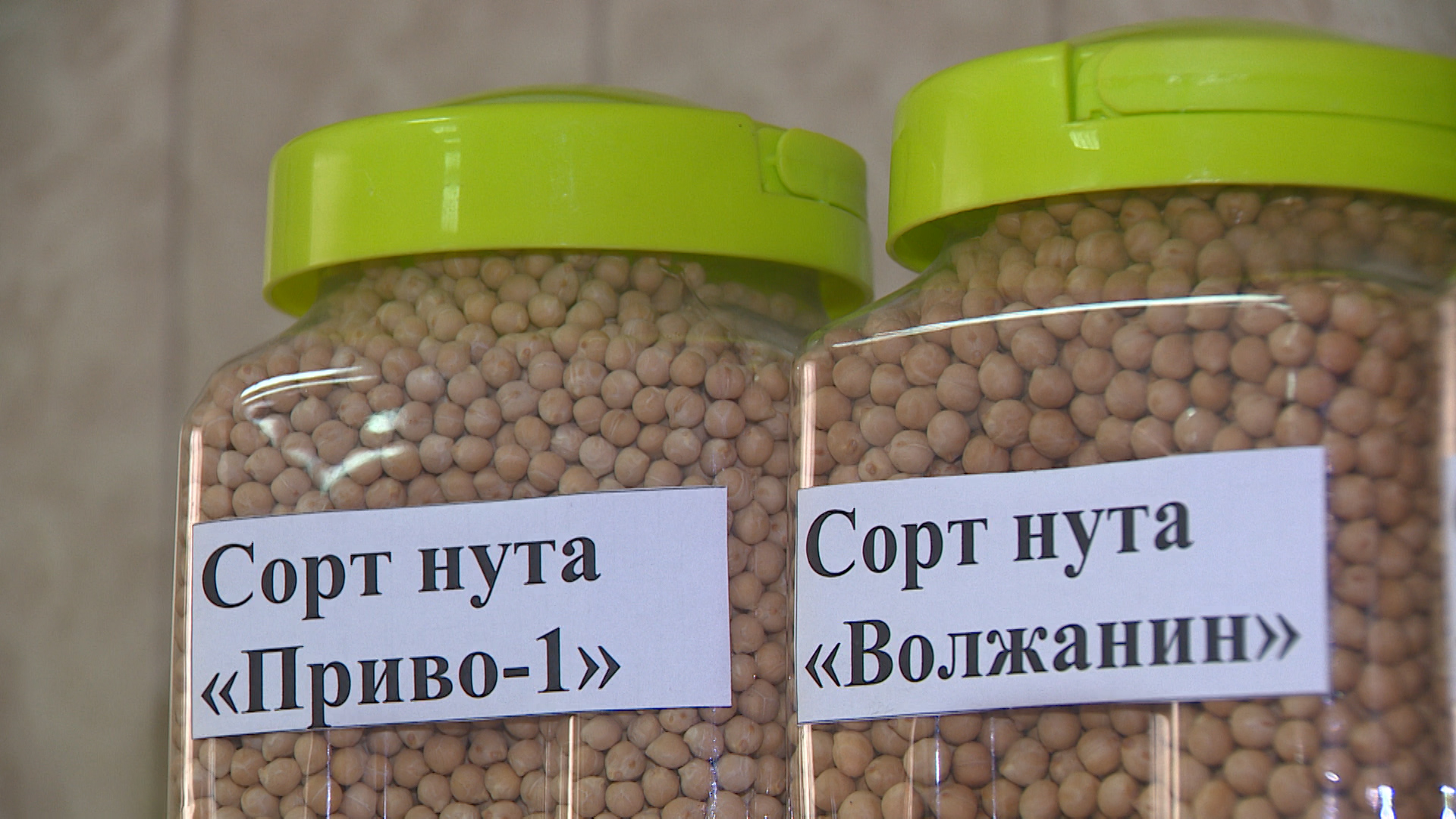 Предстоящая посевная станет юбилейным 30-м сезоном ассоциации крестьянских хозяйств «Кузнецовская»