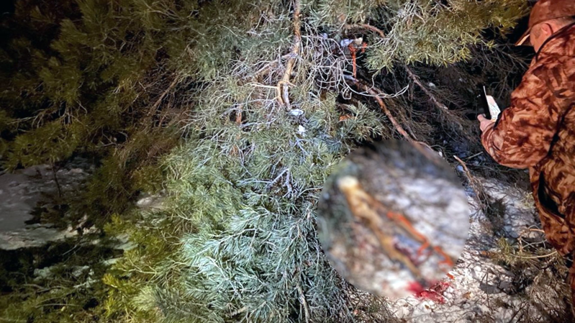 В Михайловке полицейские задержали браконьера на месте преступления