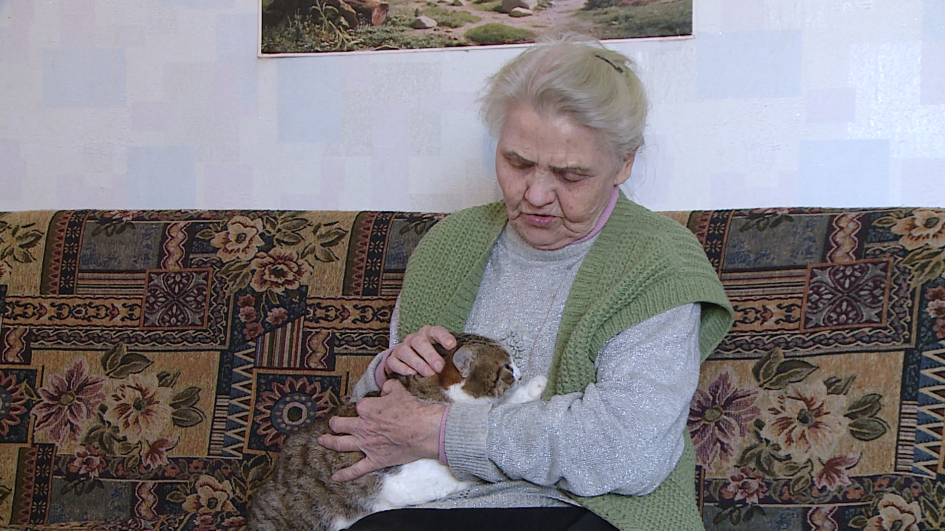 Аппарат уполномоченного по правам человека в Волгоградской области оперативно реагирует на обращения