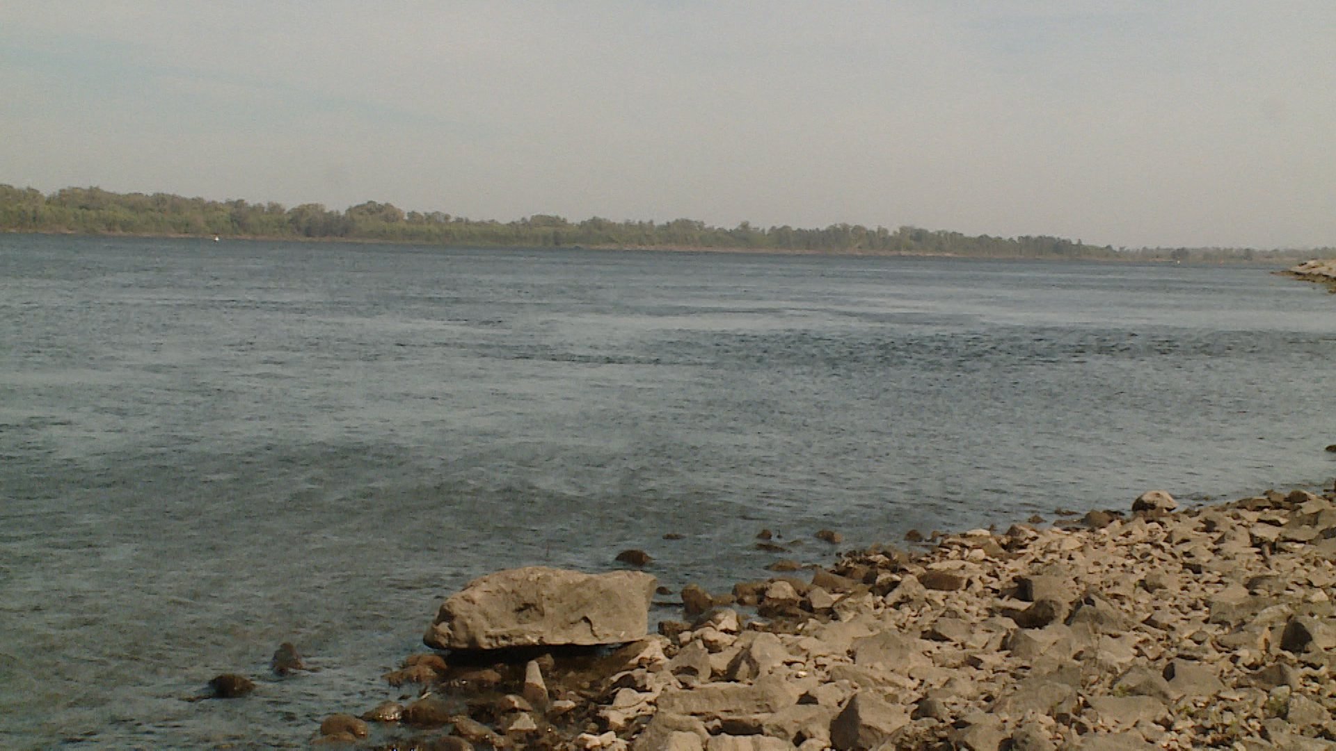В Волгоградской области экологи исследуют берега водоемов