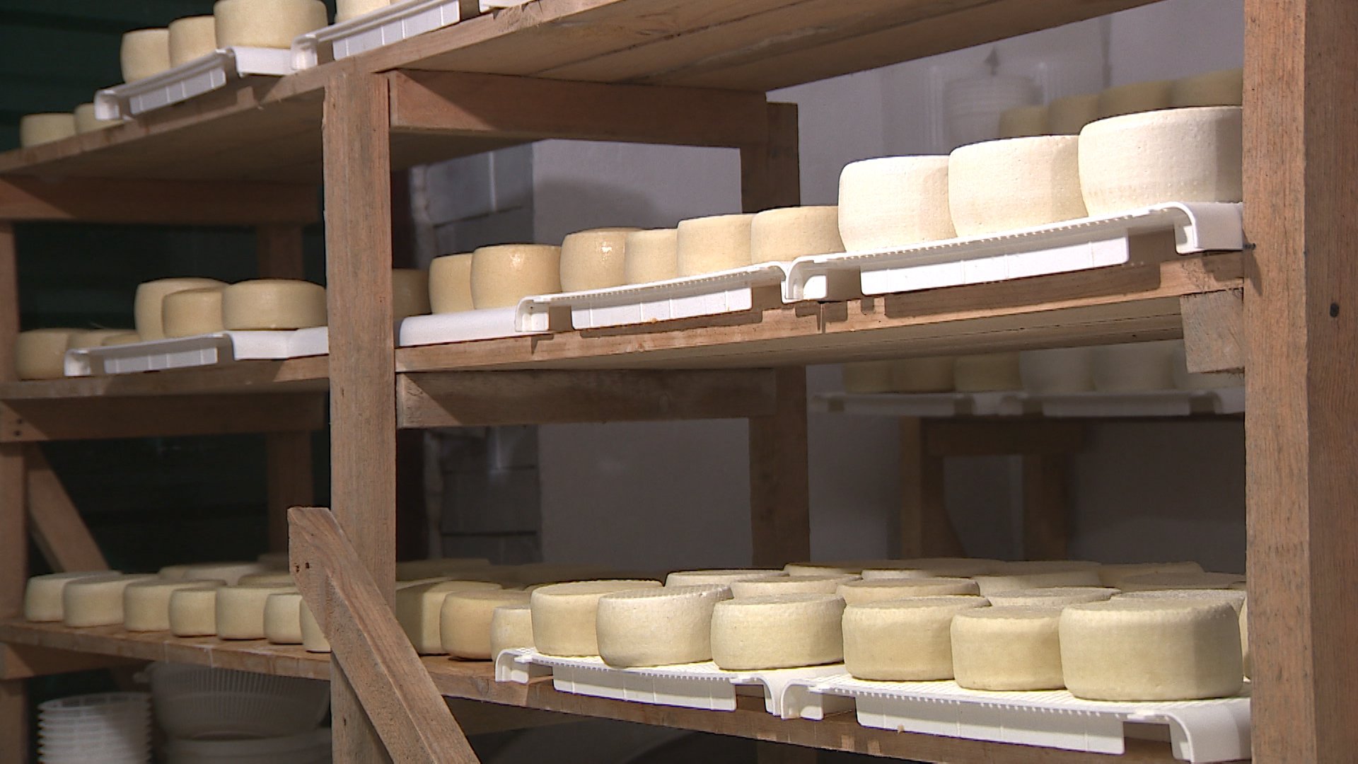 Сельхозпроизводители Волгоградской области в числе первых по продвижению продукции в интернете