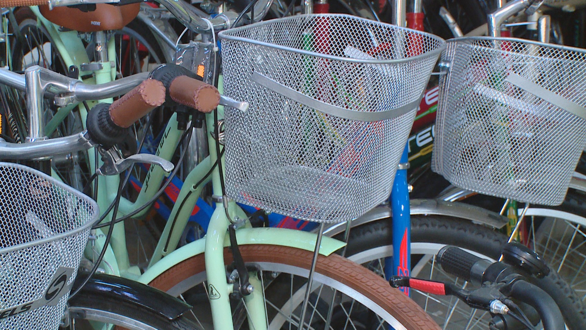 Волгоградцы выбирают велопрогулки