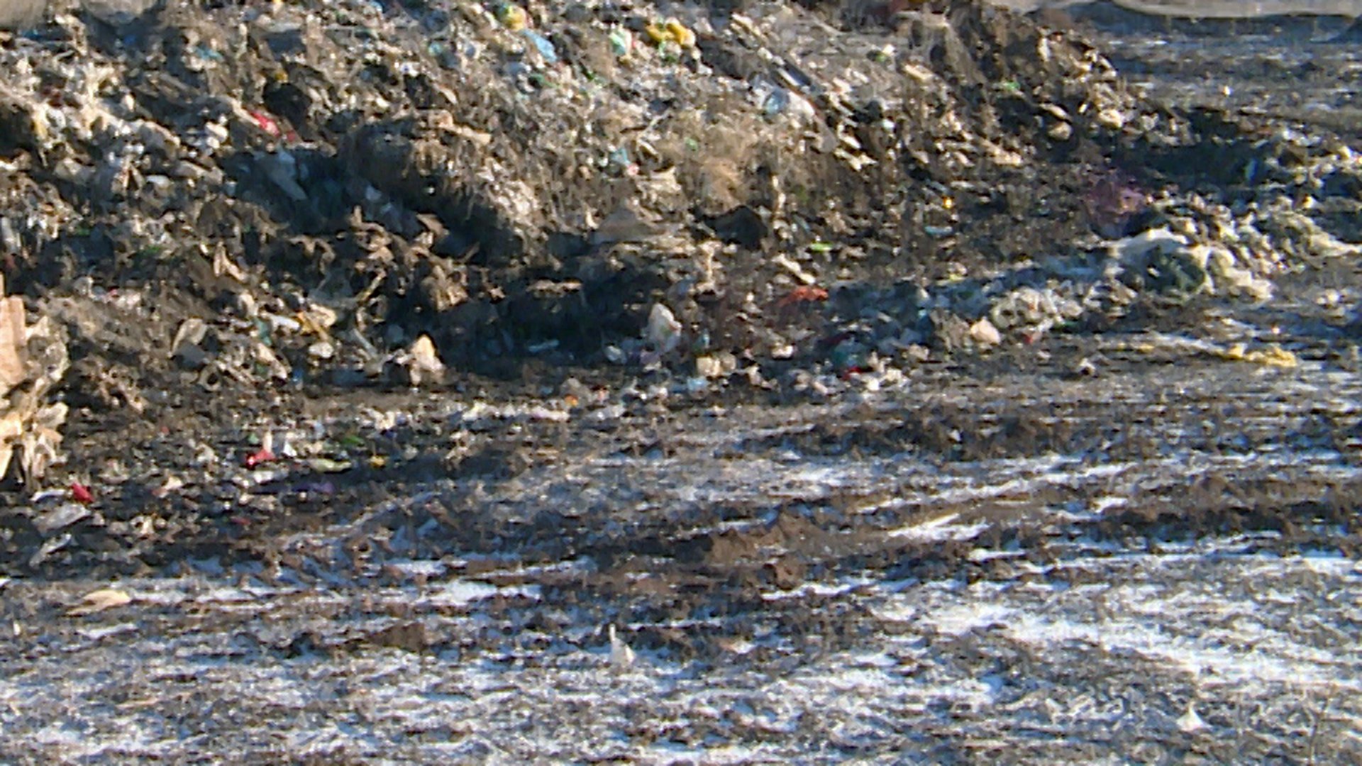 В Волгоградской области выявляют несанкционированные свалки