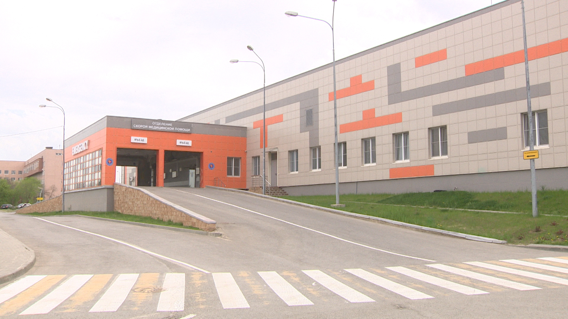 В Волгоградской области ребенок пострадал от укуса гадюки
