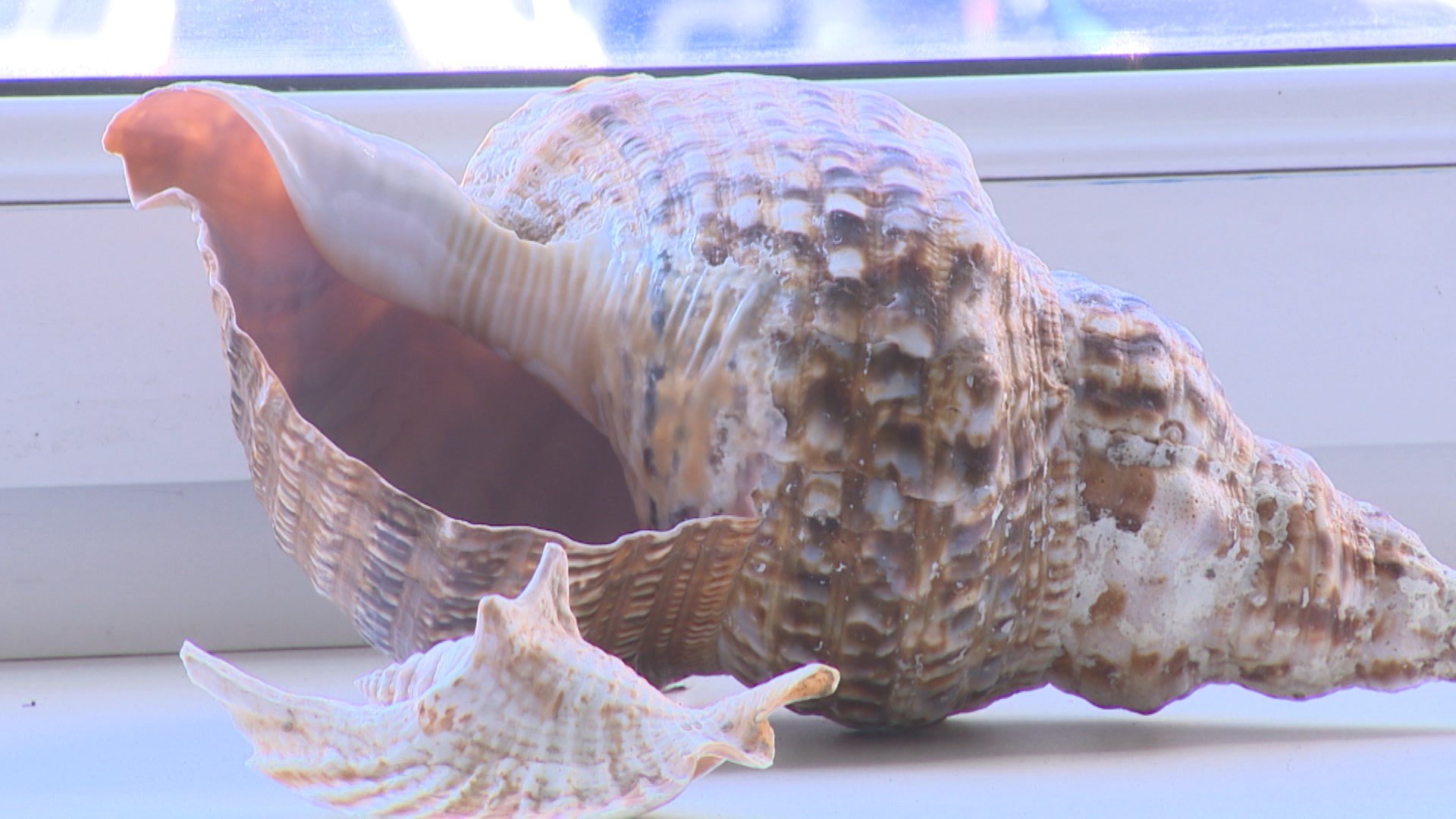 Новый этап туристического кешбэка начнется 1 октября