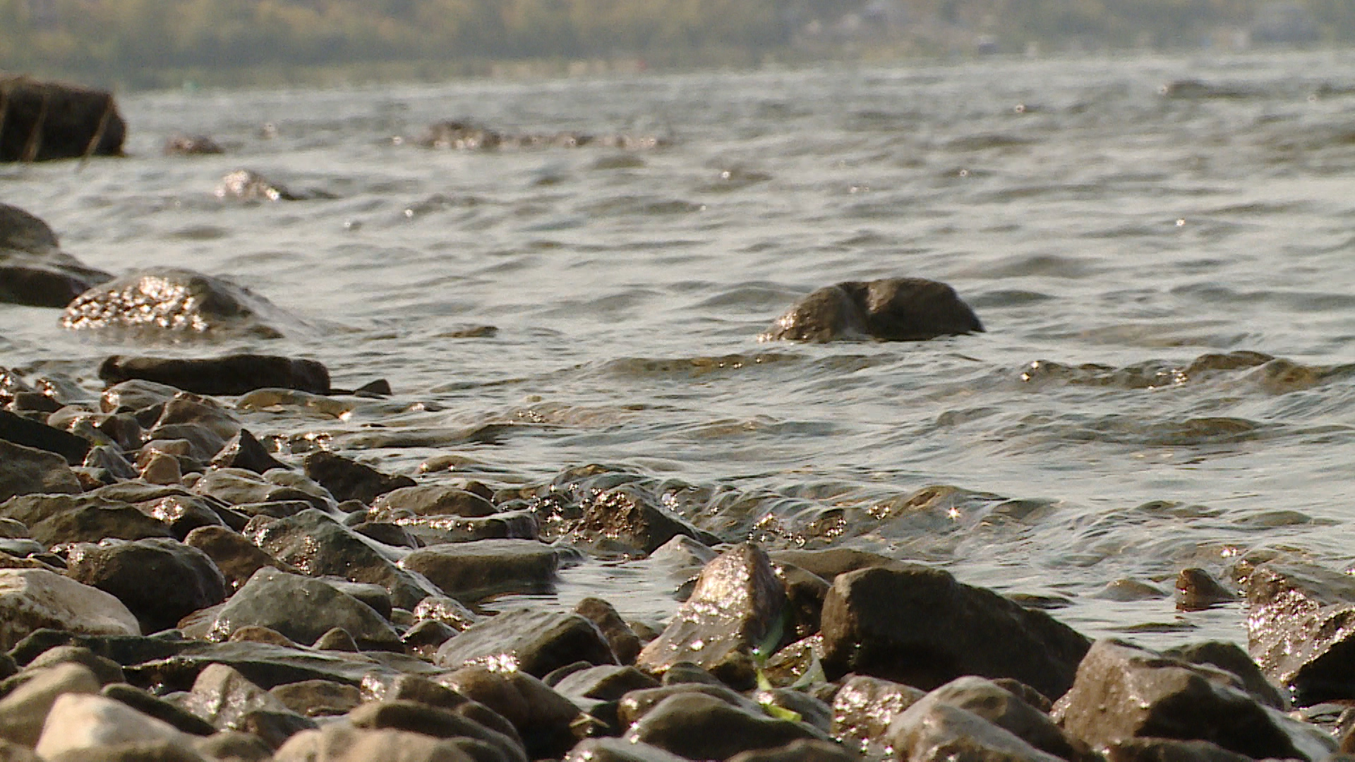В Волгоградской области восстановят 16 участков рек Донского бассейна