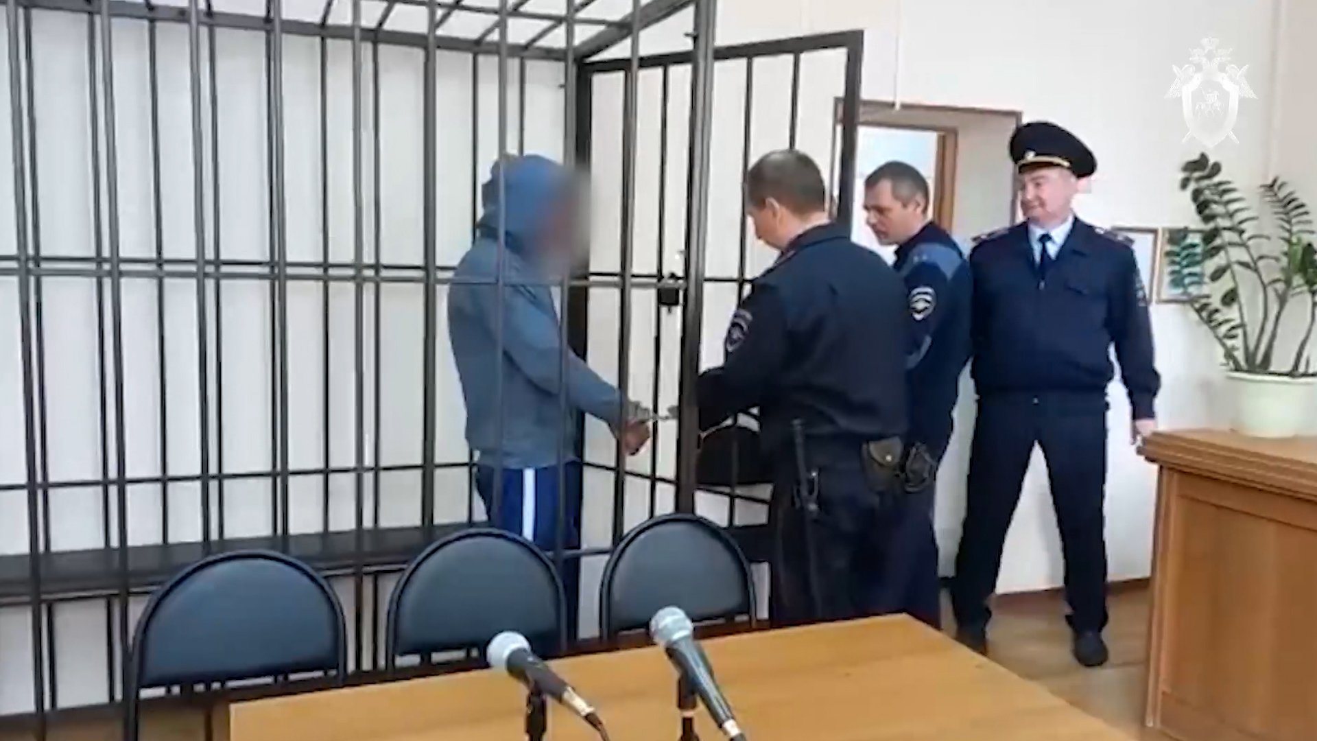 В Волгоградской области из-за двух тысяч рублей жестоко убили пенсионерку