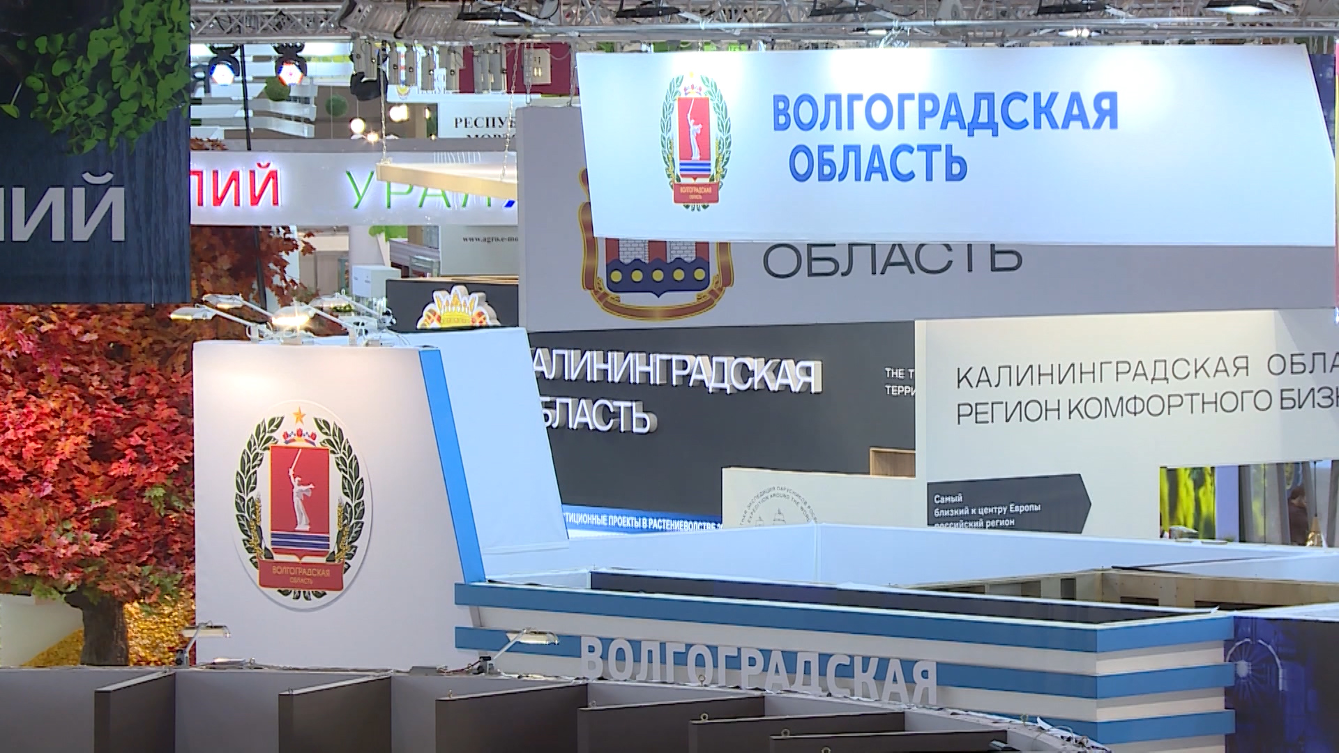 66 наград получили волгоградские сельхозпроизводители на выставке «Золотая осень»
