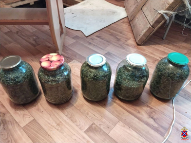 У жителя Волгоградской области обнаружили соленья с марихуаной