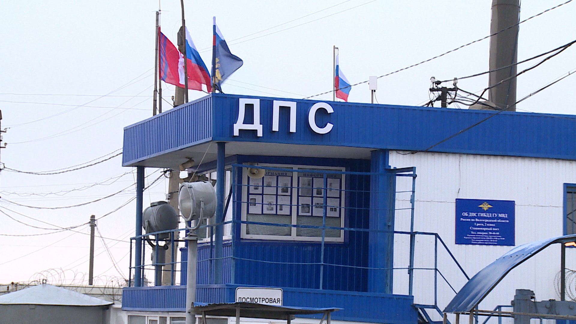 В Волгоградской области водитель сбил лошадь и попал в больницу