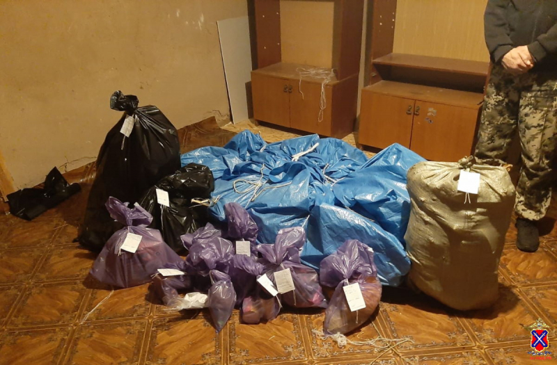 В Волгоградской области завершили расследование дела о незаконном хранении наркотиков и пороха