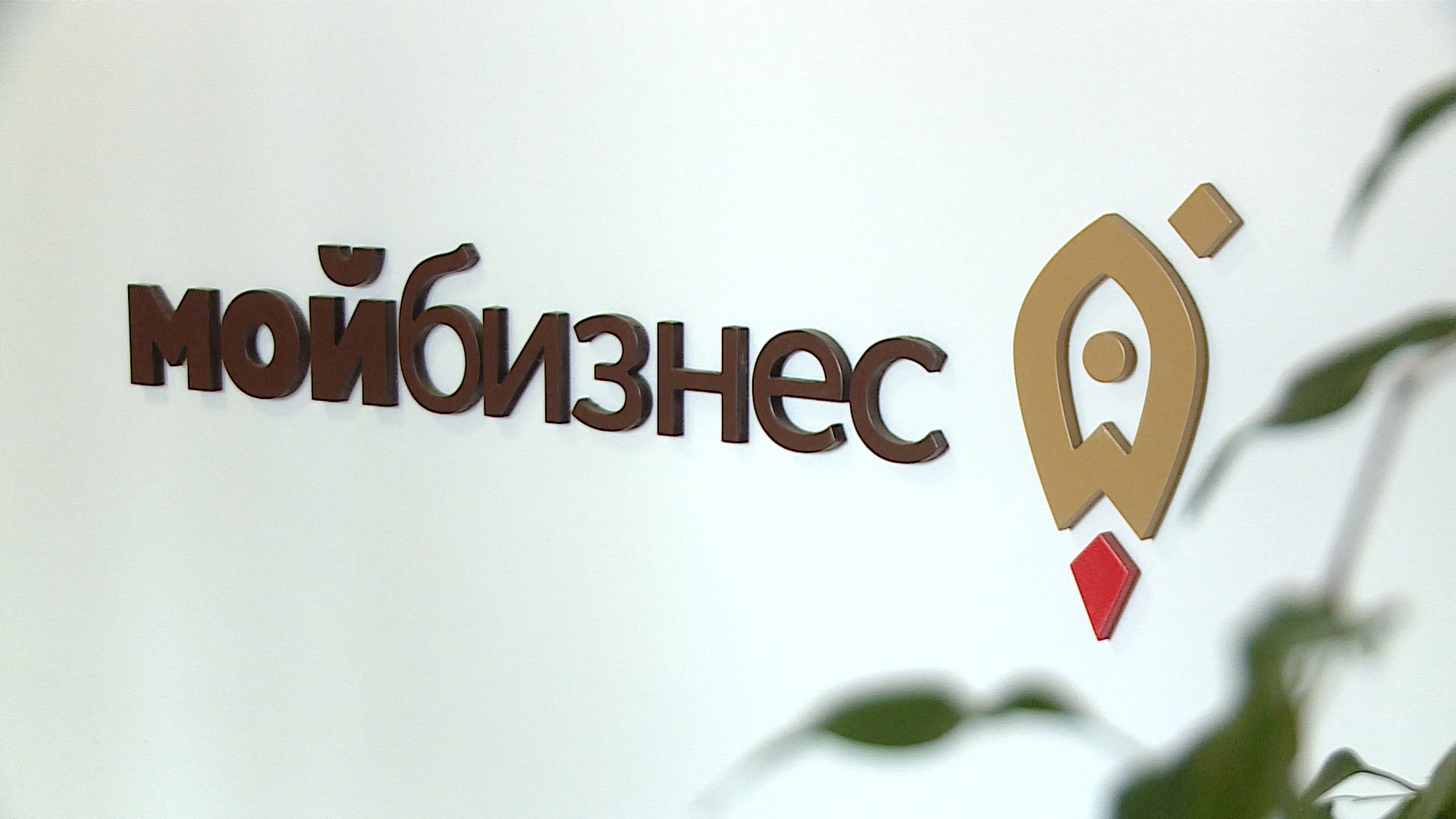 Волгоградский сектор малого и среднего предпринимательства развивается с поддержкой гарантийного фонда