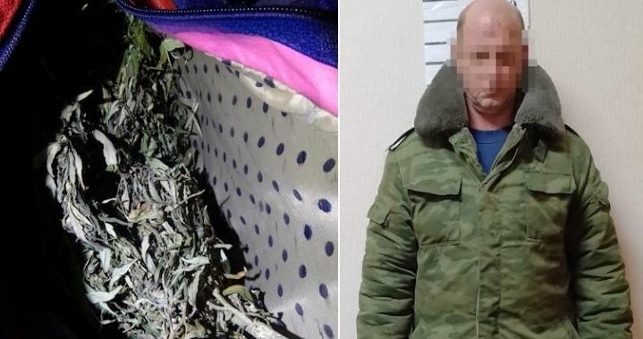 Десять лет колонии может получить житель Камышина за хранение марихуаны
