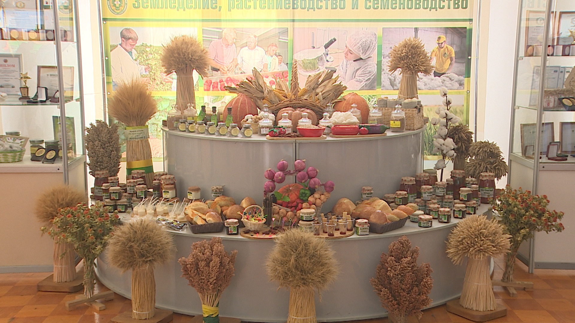 Агрохимики из 89 регионов России подвели итоги года в Волгограде