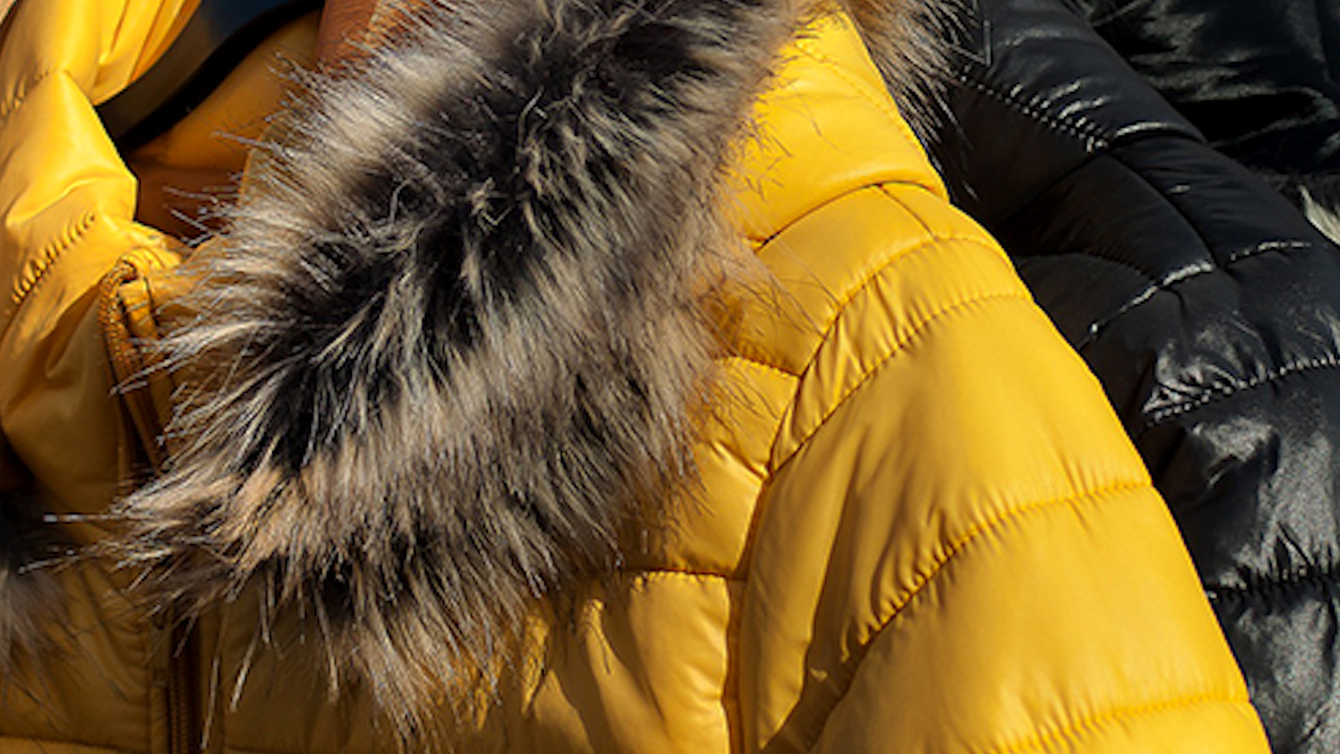 Роспотребнадзор дал рекомендации волгоградцам при покупке пуховика