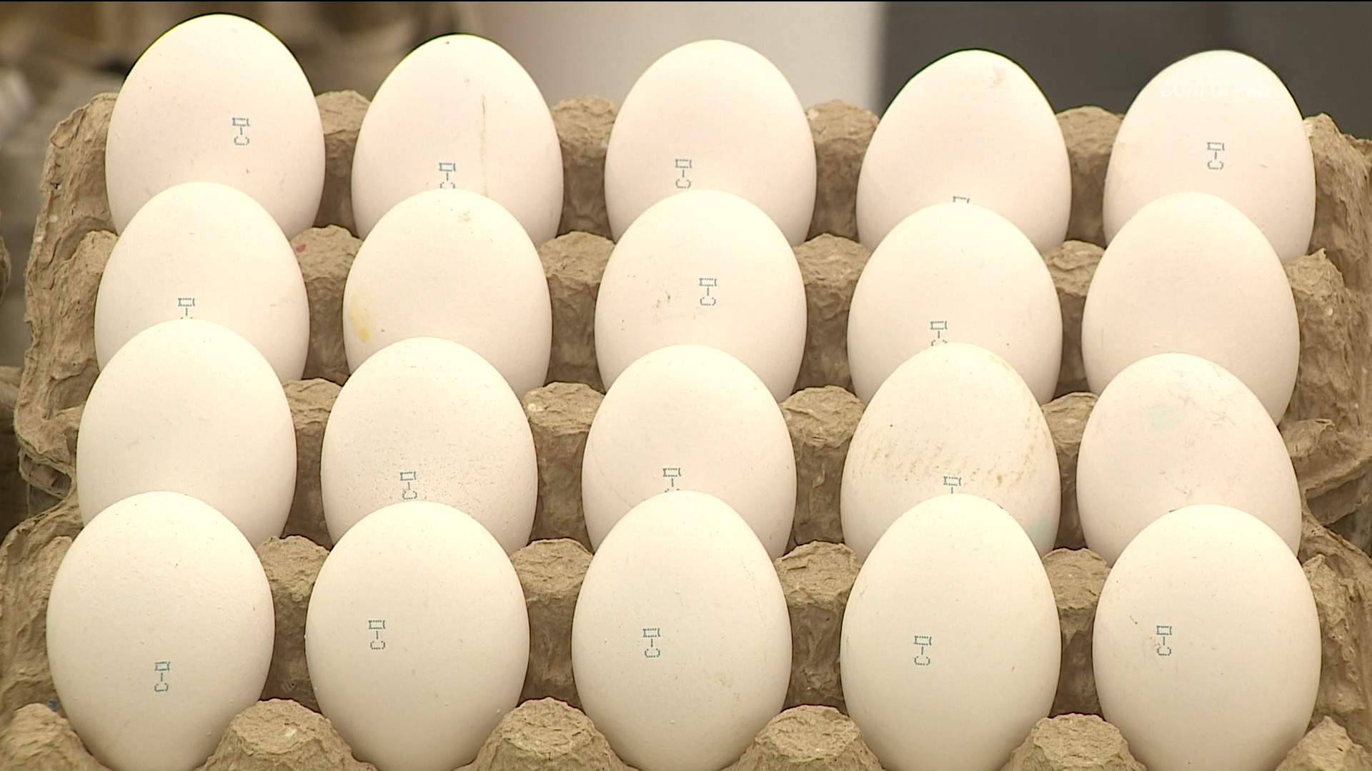 В Волгоградской области начали дешеветь яйца