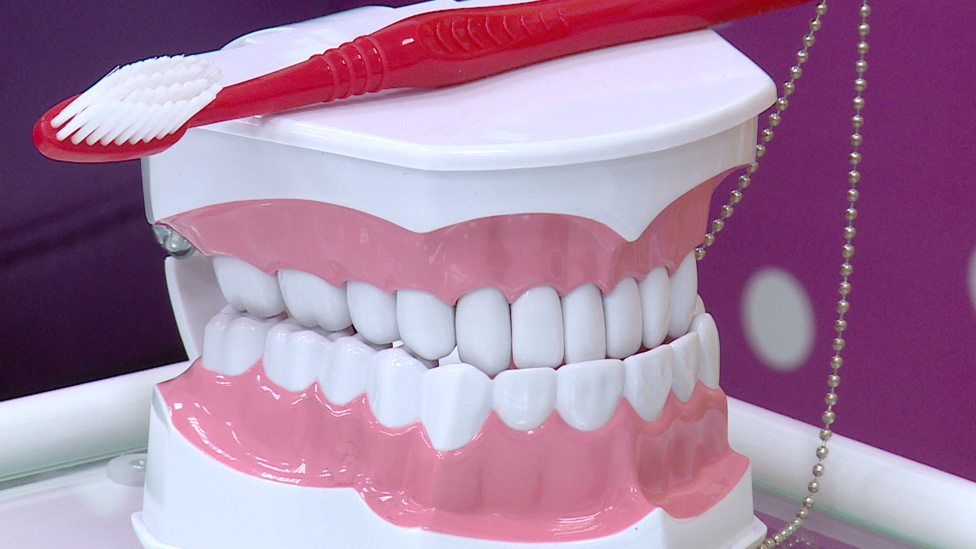 Стоматолог напомнила волгоградцам, почему опасно пропускать чистку зубов