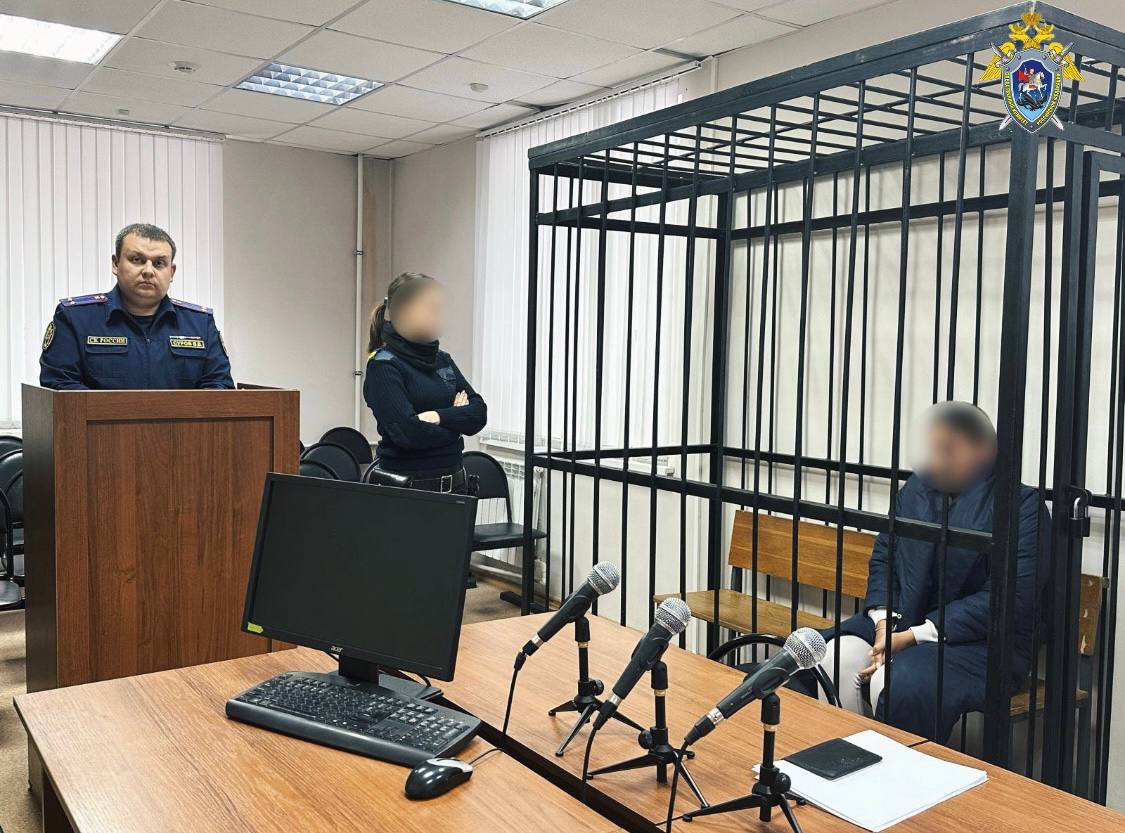 Волгоградский суд заключил под стражу обвиняемую в реабилитации нацизма блогершу