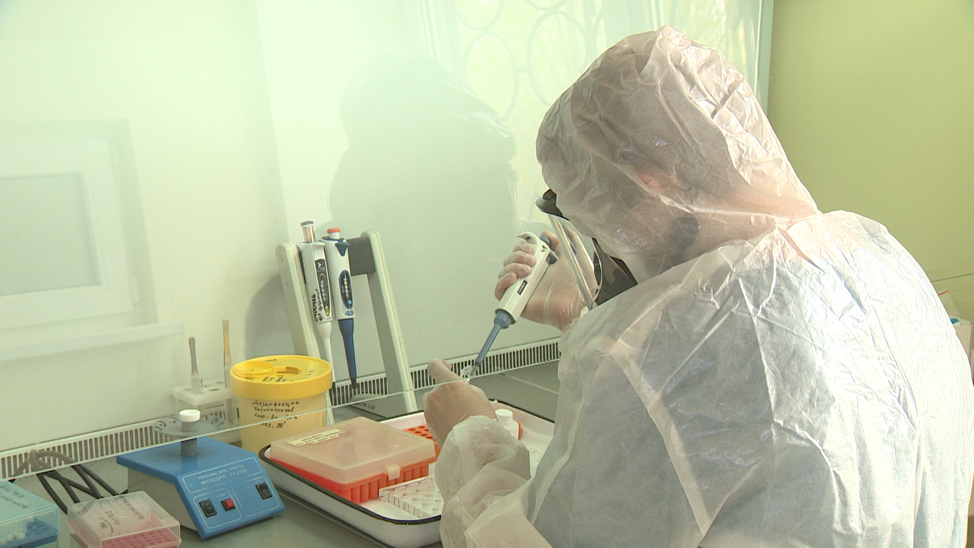 В Волгоградской области выявили очаг бруцеллеза