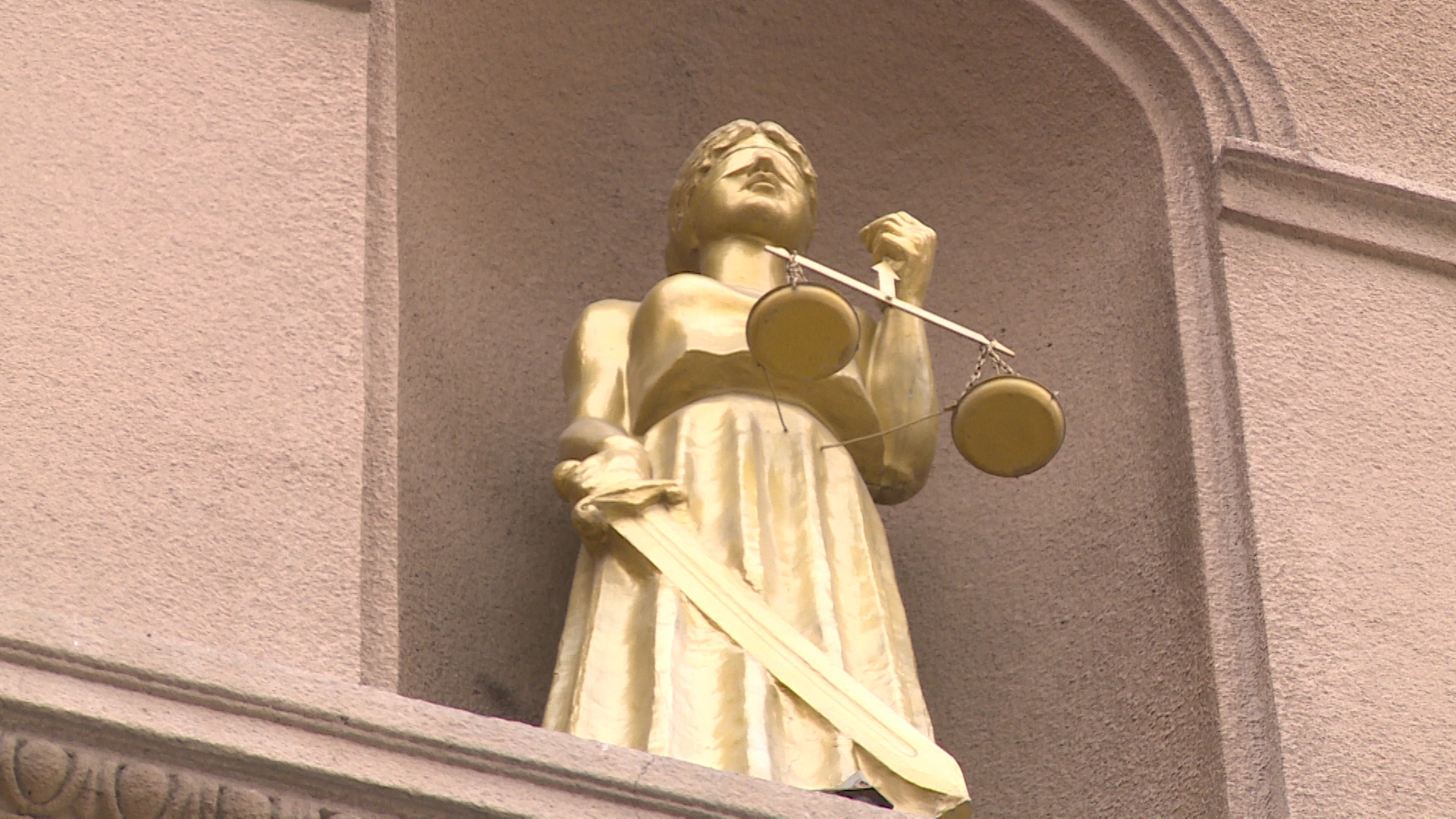 Мэрия Волгограда возместила ущерб жительнице за падение дерева на автомобиль