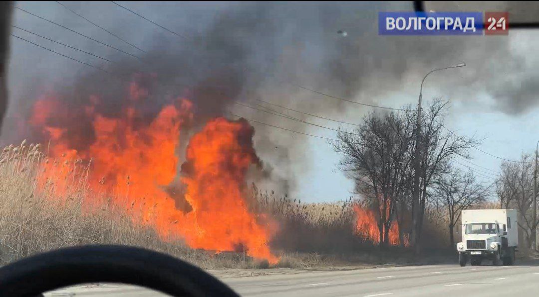 Полыхающий камыш сняли на видео волгоградцы в Кировском районе