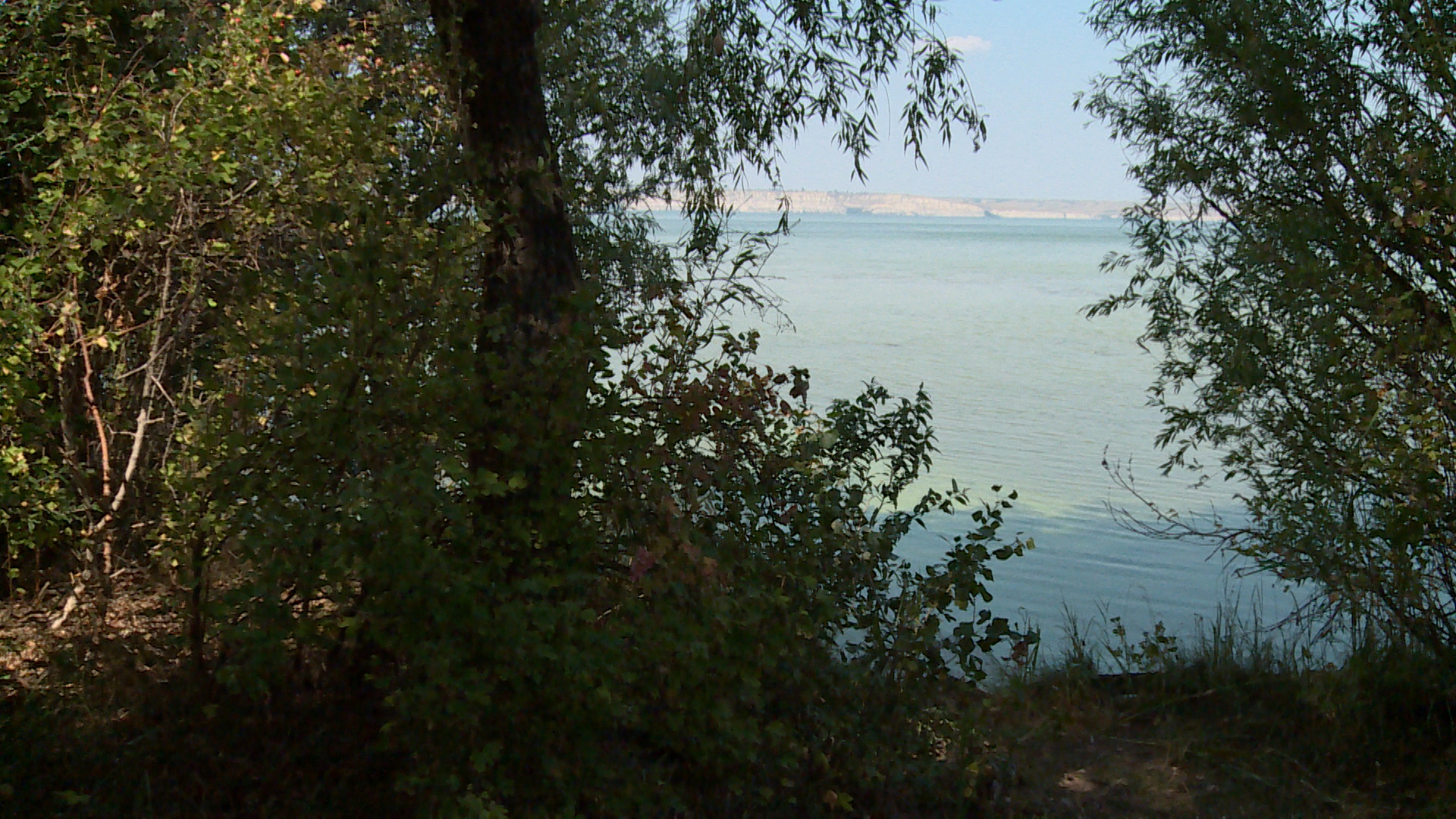 Волгоградцы могут помочь природе в рамках экомарафона «Вода России»