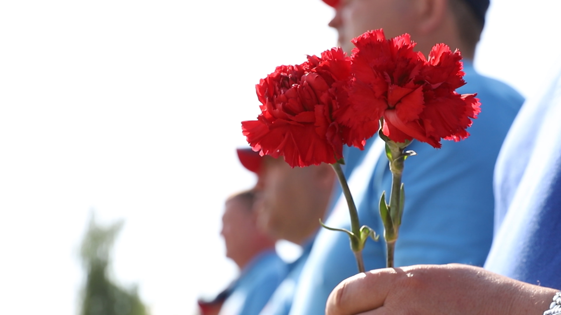 Депутаты облдумы преодолели маршрут «Севастополь – Волгоград – Санкт-Петербург» в рамках патриотического автопробега