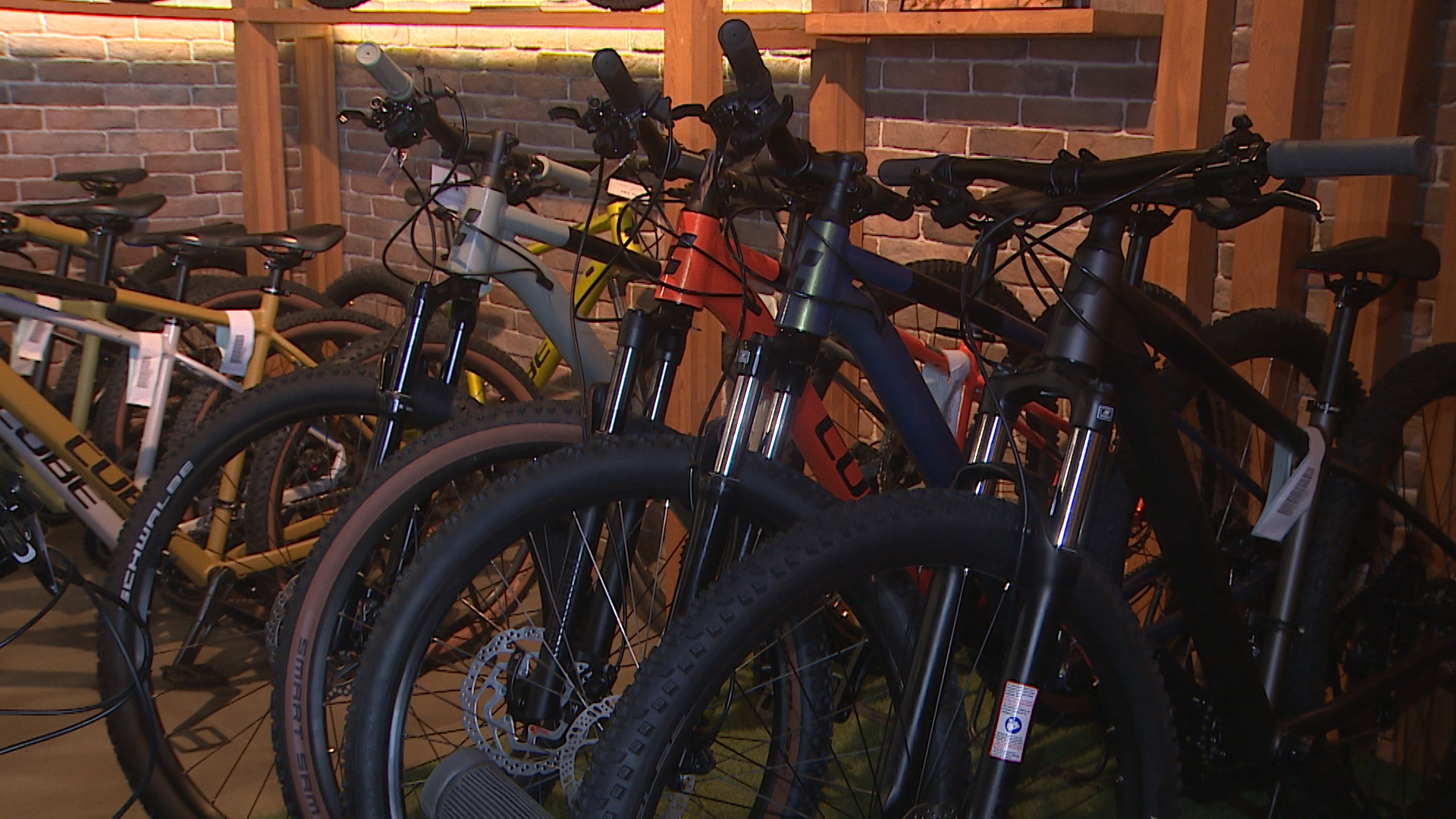 «Дамам – женские, детям – по возрасту»: волгоградцам рассказали, как выбрать идеальный велосипед