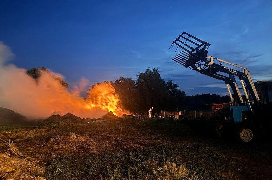 Полицейские установили поджигателей имущества под Волгоградом