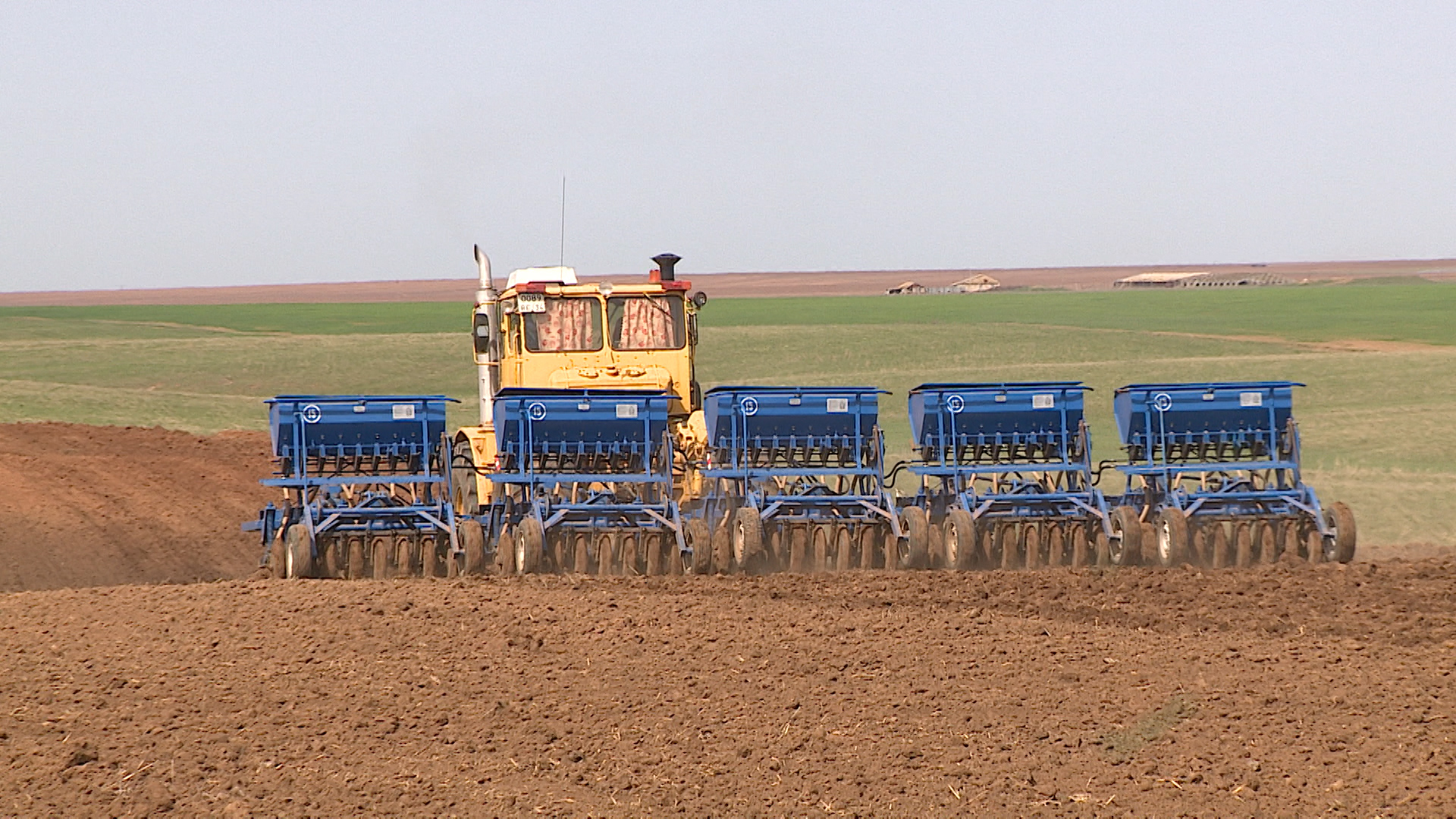 В Волгоградской области полностью завершился сев яровых культур