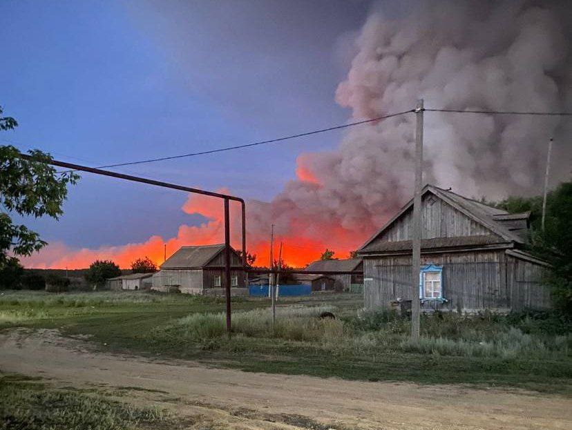 Пожар охватил лес возле села Салтово в Старополтавском районе