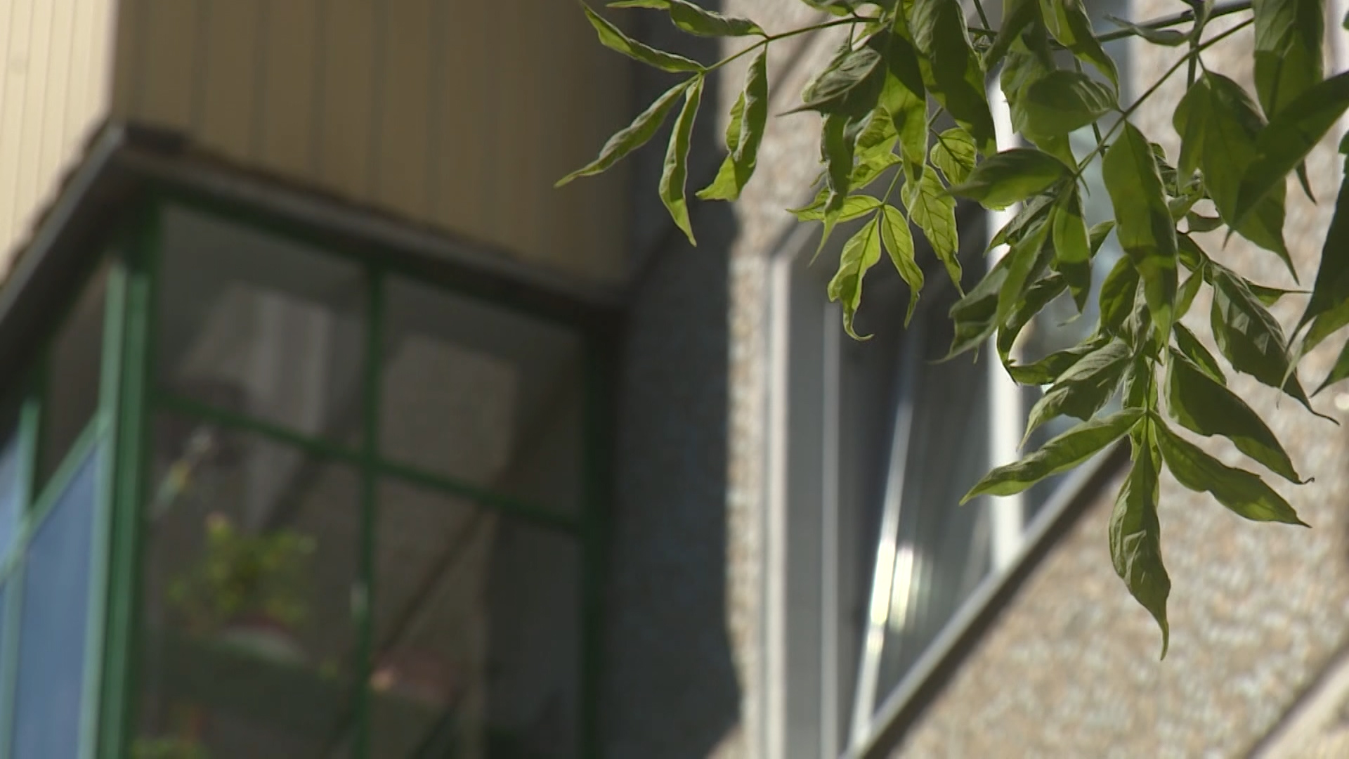 В Волгограде полуторагодовалый ребенок разбился насмерть при падении из окна