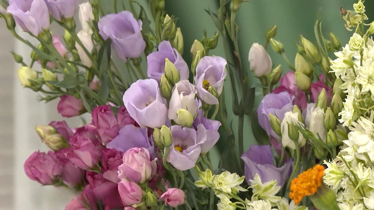 Флорист из Волгограда показала, как собрать букет-шедевр и сохранить жизнь цветам