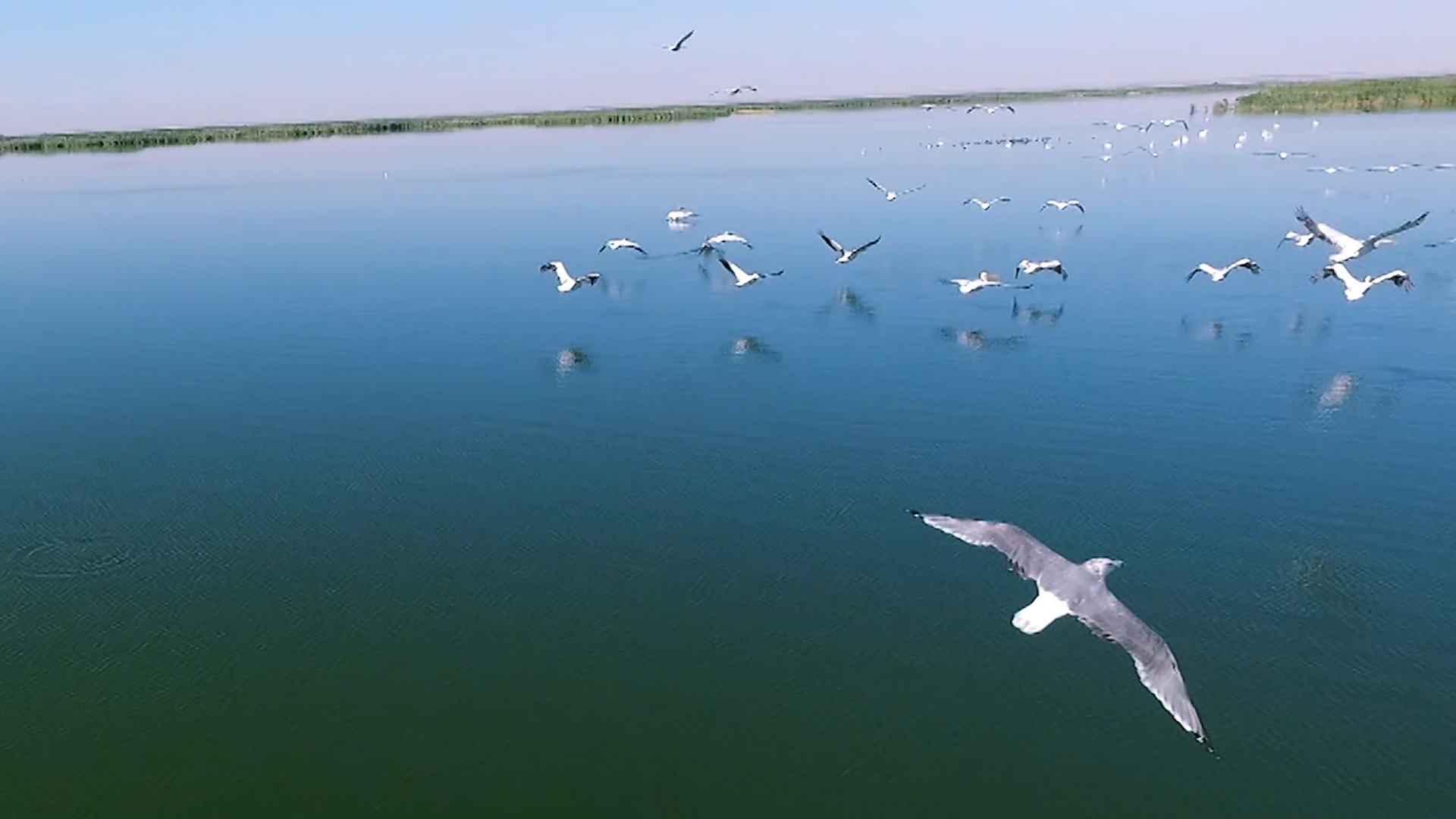 Выпуск Регион в кадре: Светлоярский район