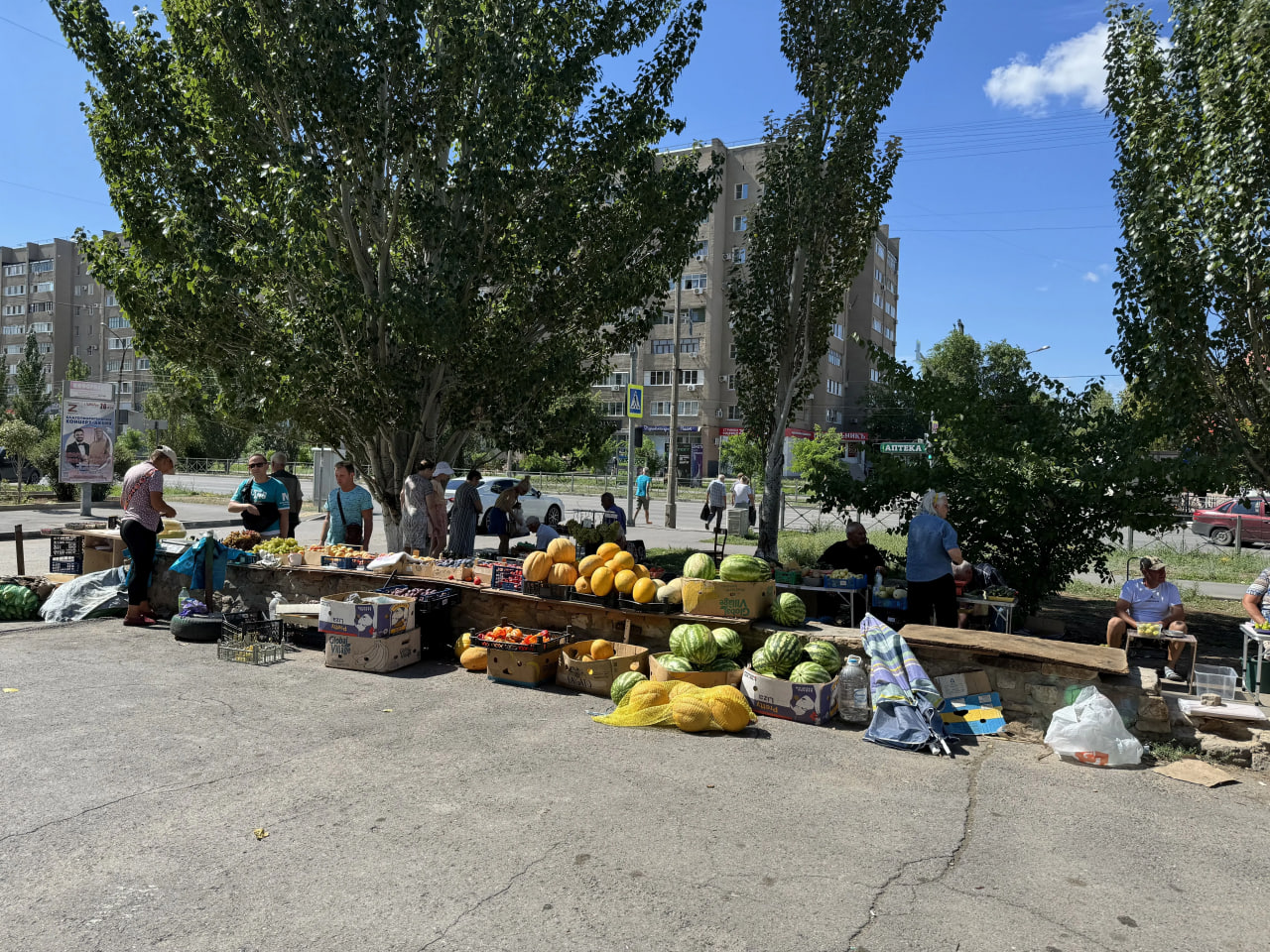 На местах стихийной торговли в Волжском нашли 110 нарушителей