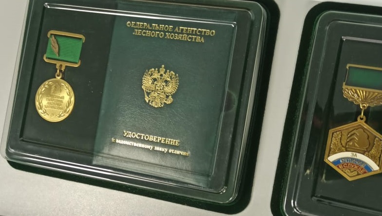 Заслуженные награды вручили 19 лесникам Волгоградской области
