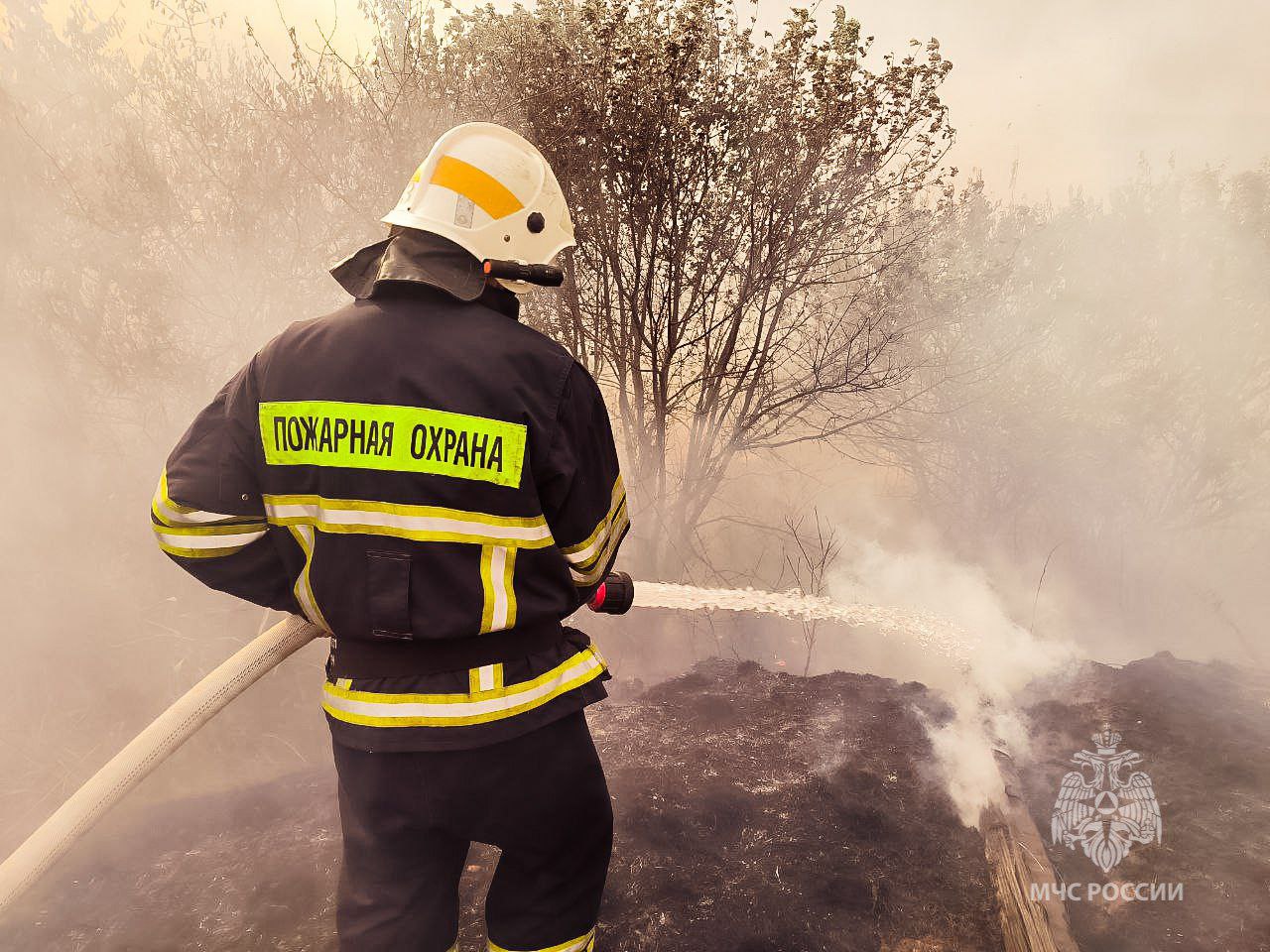 Пожар на площади 1,5 гектара локализовали в Вишневой балке в Волгограде