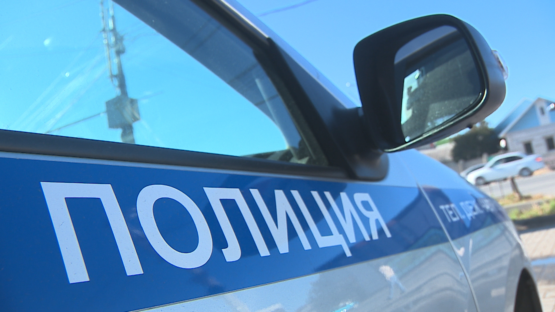 В Волжском возбудили уголовное дело на мужчину, убившего собаку лопатой