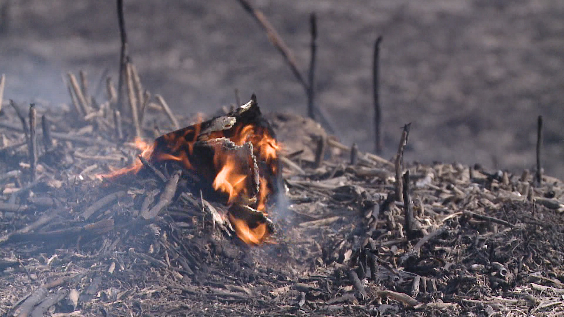 Под Волгоградом 73-летний мужчина погиб в пожаре от непотушенной сигареты