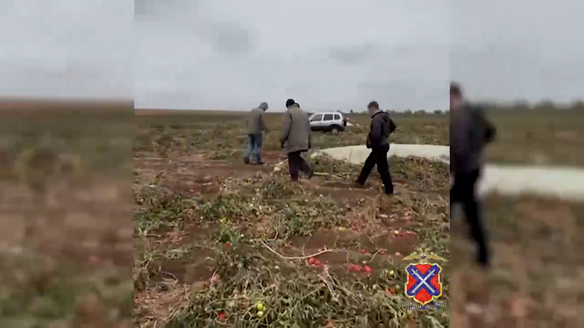 Более полусотни иностранных граждан в Волгоградской области доставили в подразделения по вопросам миграции
